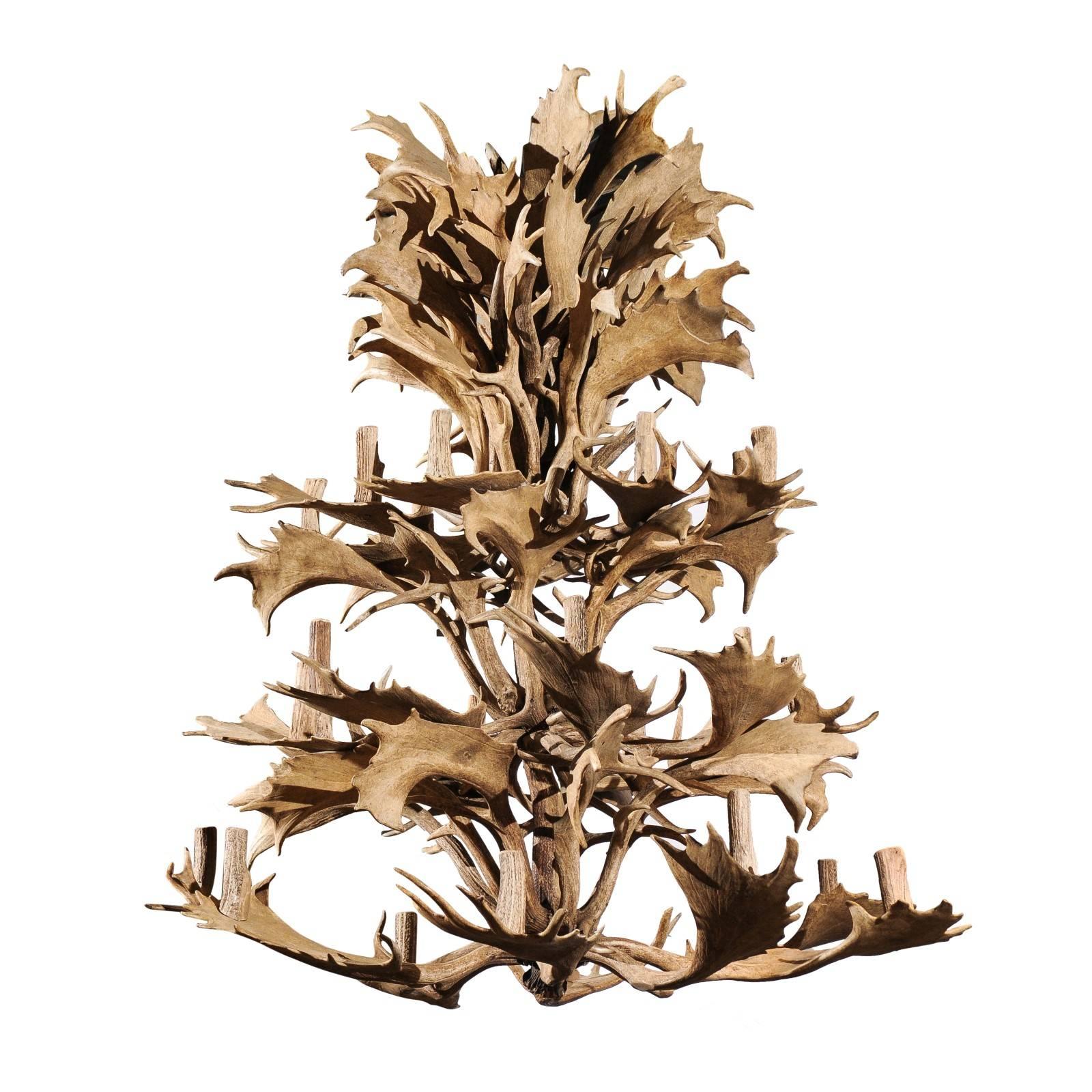 Naturally Shed 24-Light Antler Chandelier from the 1940s, Rewired for the US