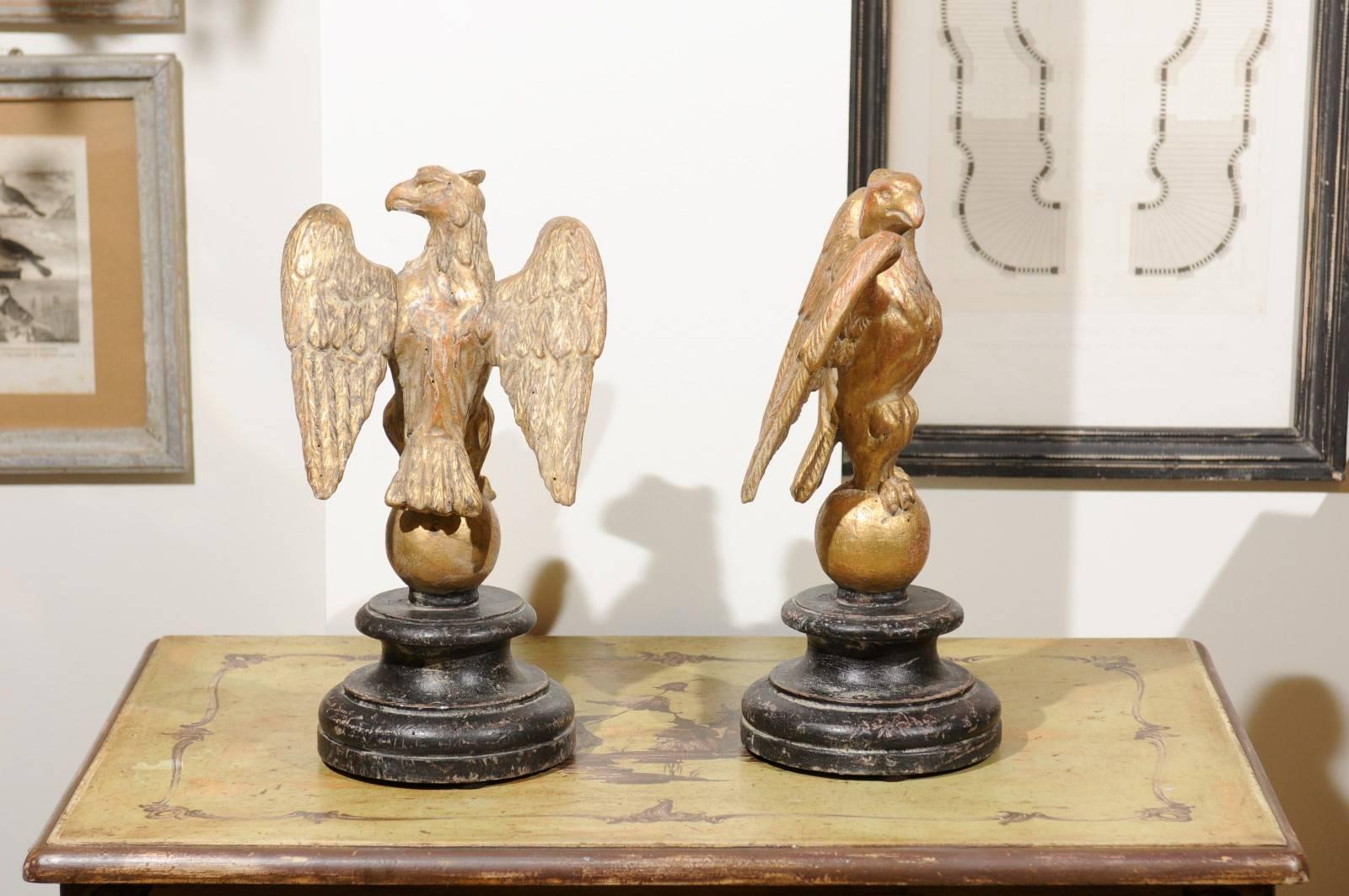 Pair of Italian Giltwood Eagles on Spheres Sculptures on Round Black Plinths 1