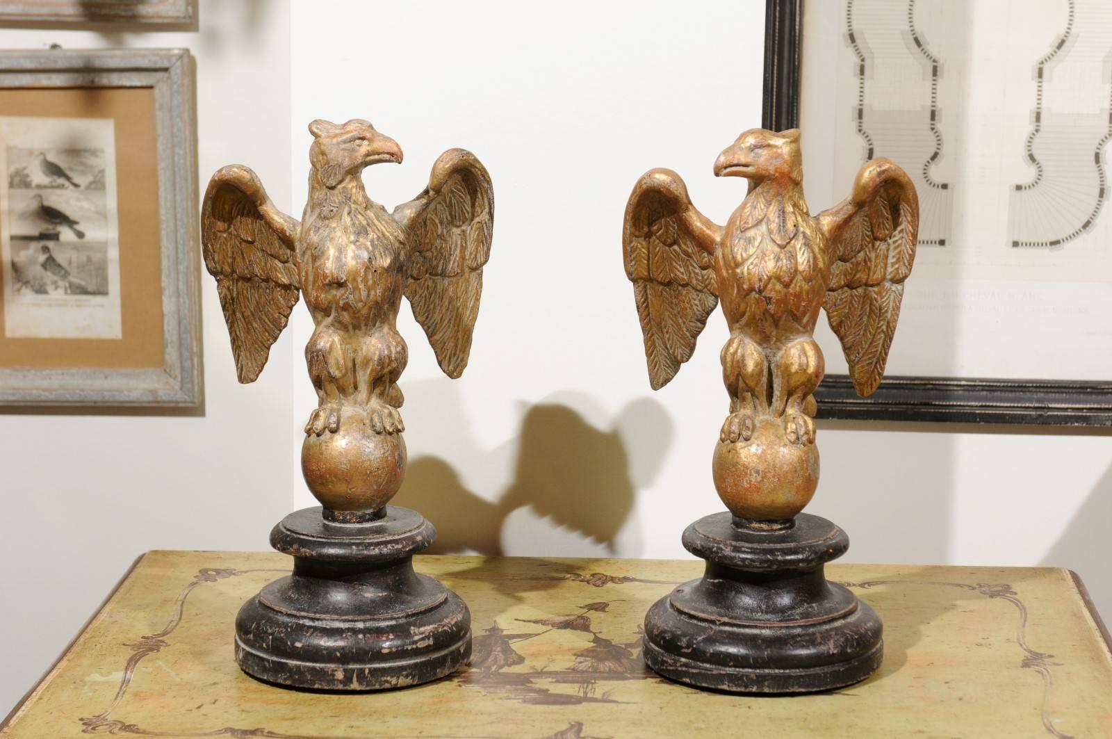 A pair of Italian 19th century carved giltwood eagles sculptures on black circular plinths. Each of this pair of exquisite bird statues on stands features an eagle with its wings extended, standing proudly on a sphere. The noble attitude shows the
