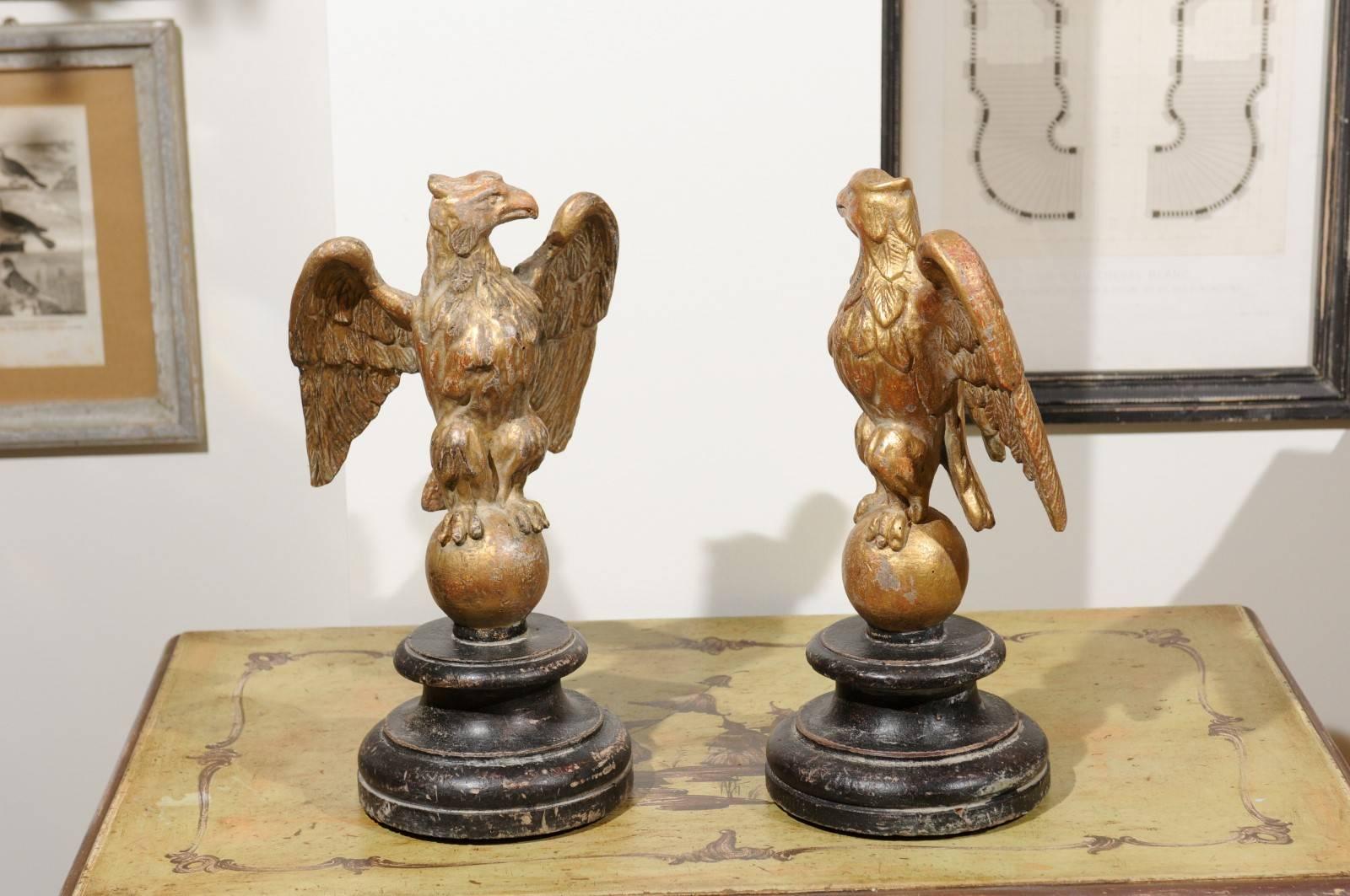 Pair of Italian Giltwood Eagles on Spheres Sculptures on Round Black Plinths 3