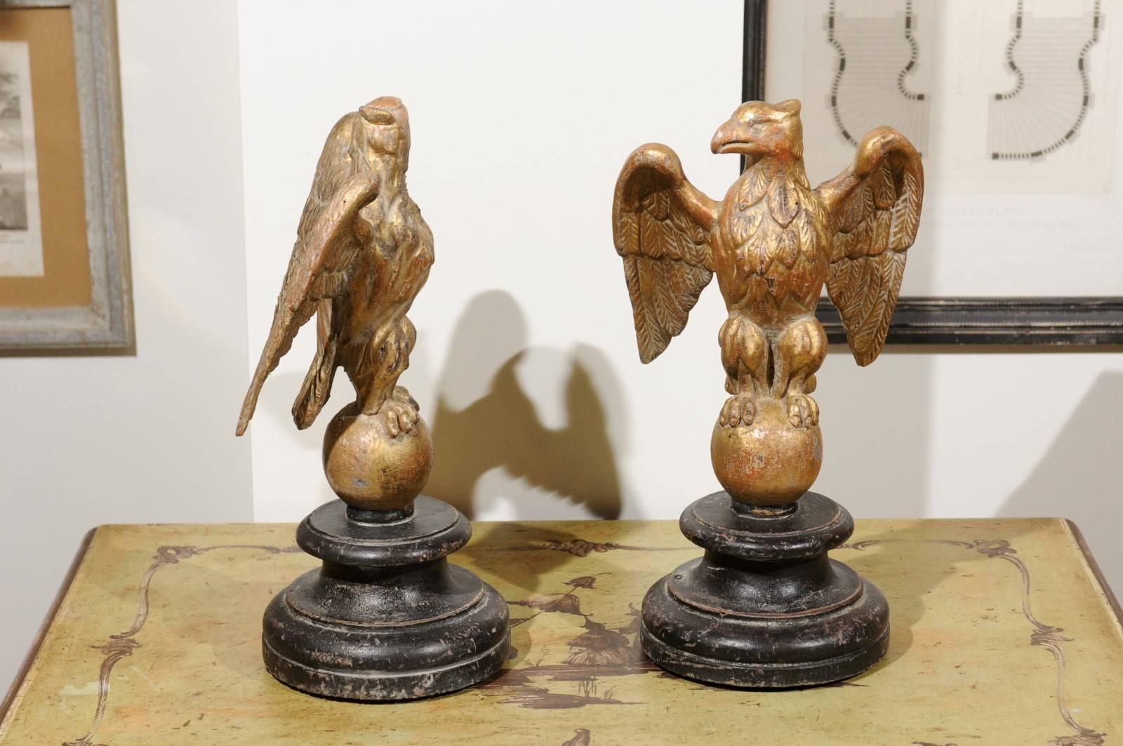 19th Century Pair of Italian Giltwood Eagles on Spheres Sculptures on Round Black Plinths