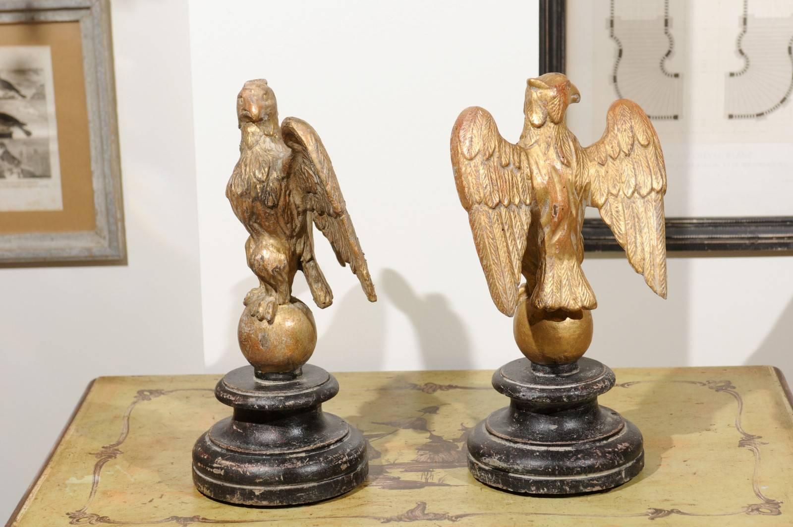 Pair of Italian Giltwood Eagles on Spheres Sculptures on Round Black Plinths 2