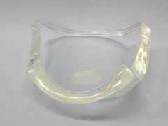 Substantial biomorphic form Lucite fruit Bowl