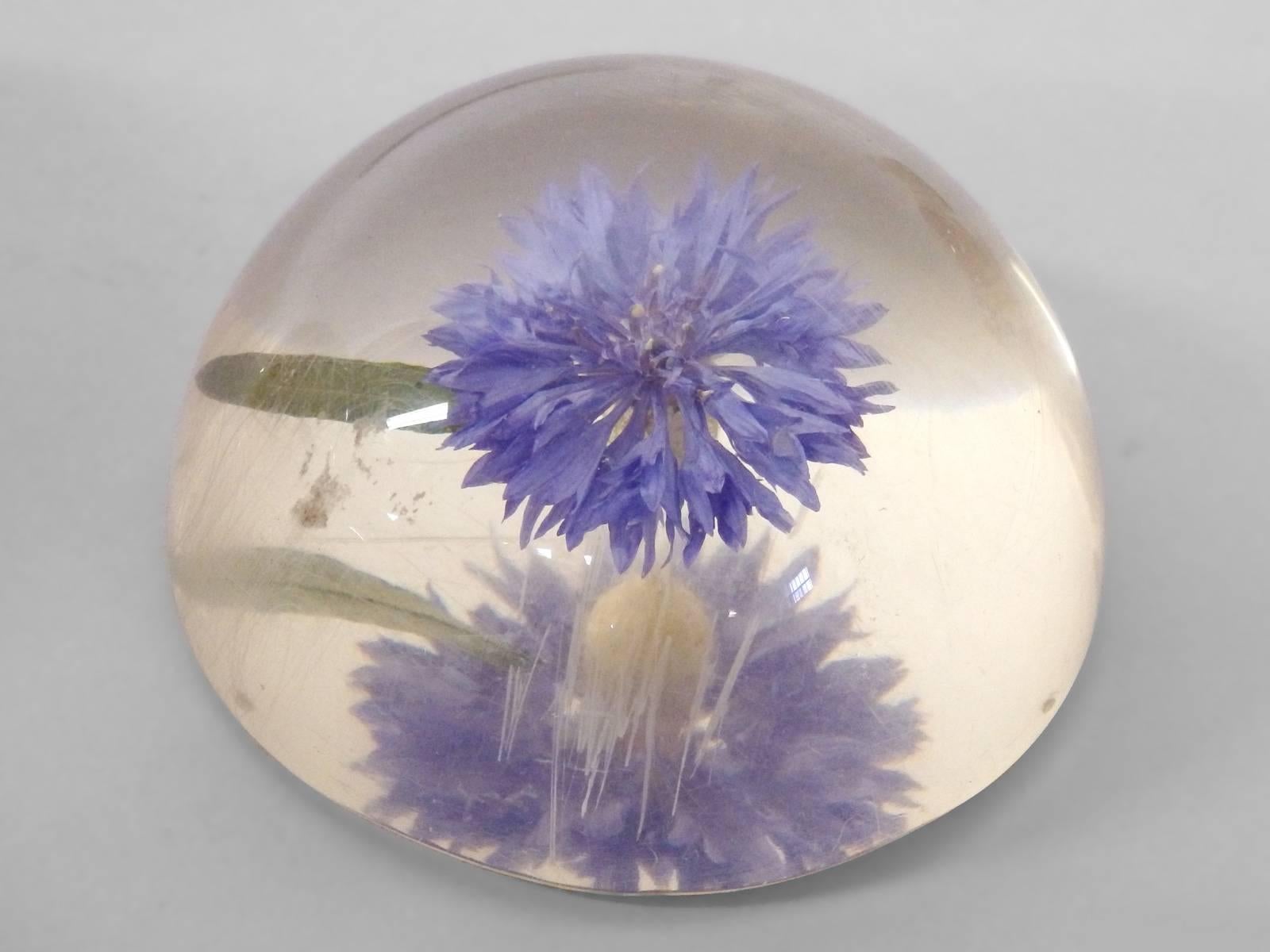 16-Piece Collection Resin Captured Flowers and Insects In Excellent Condition In Ferndale, MI