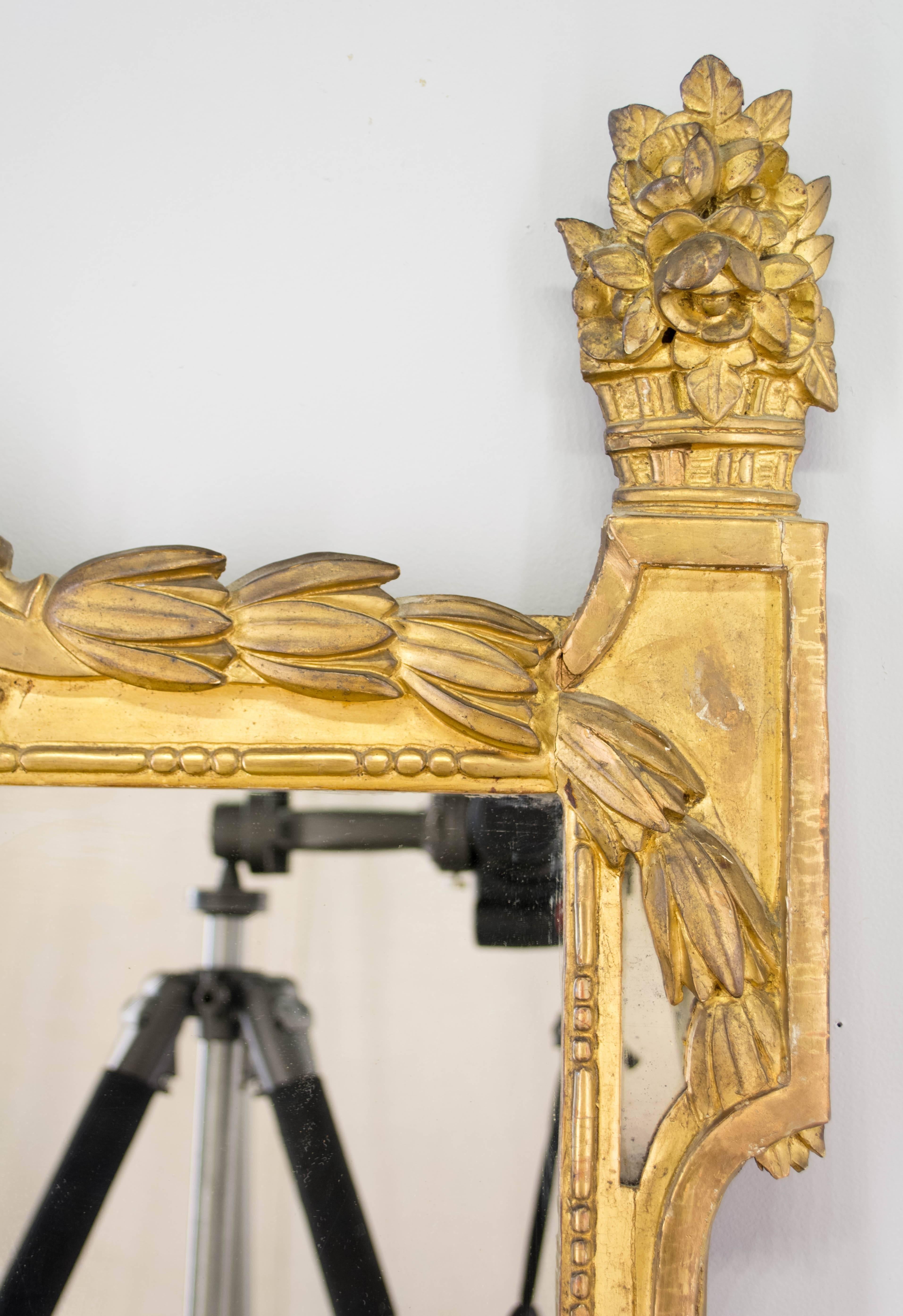 French Louis XVI Style Gilded Mirror 6
