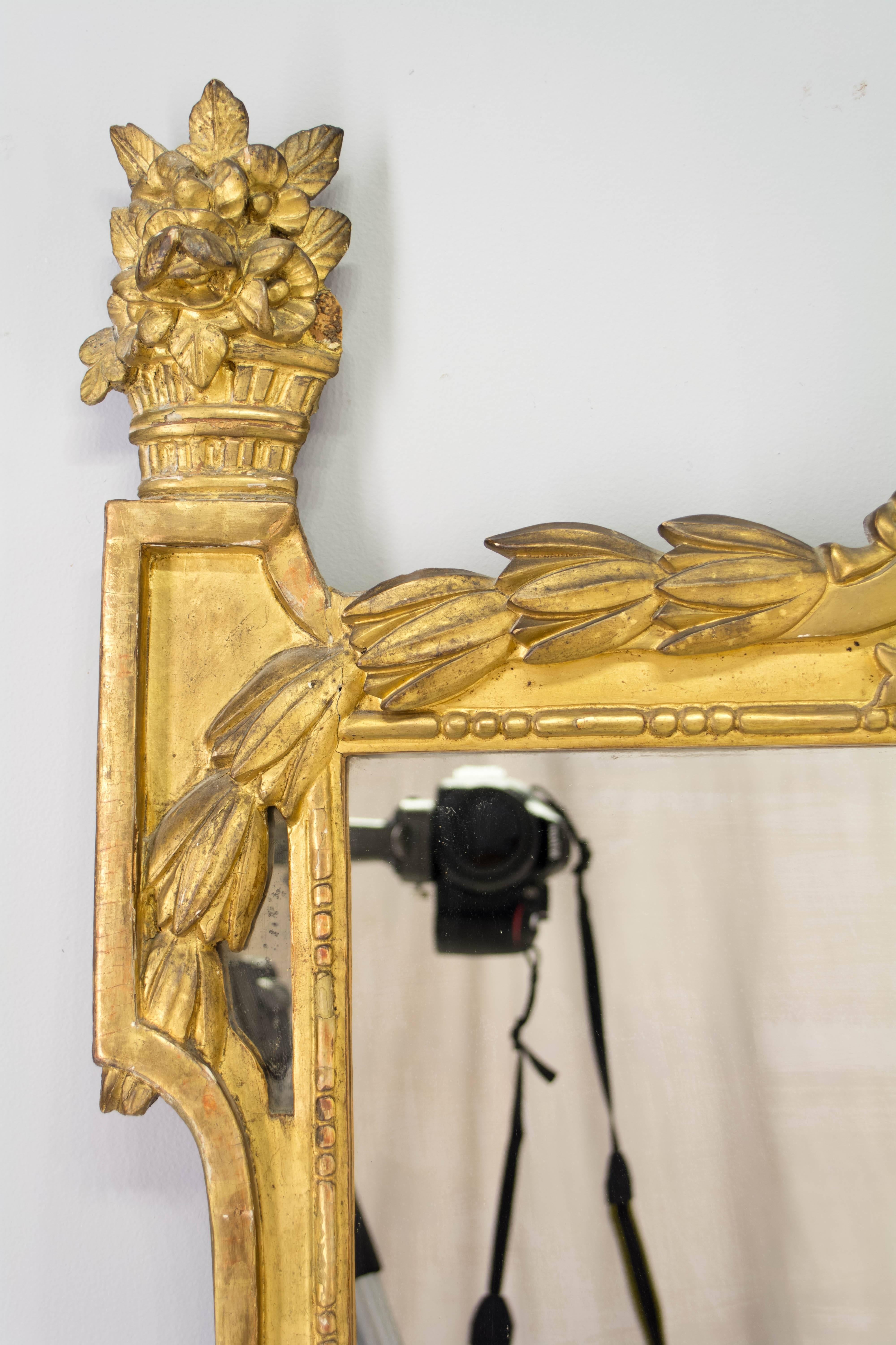 French Louis XVI Style Gilded Mirror 4