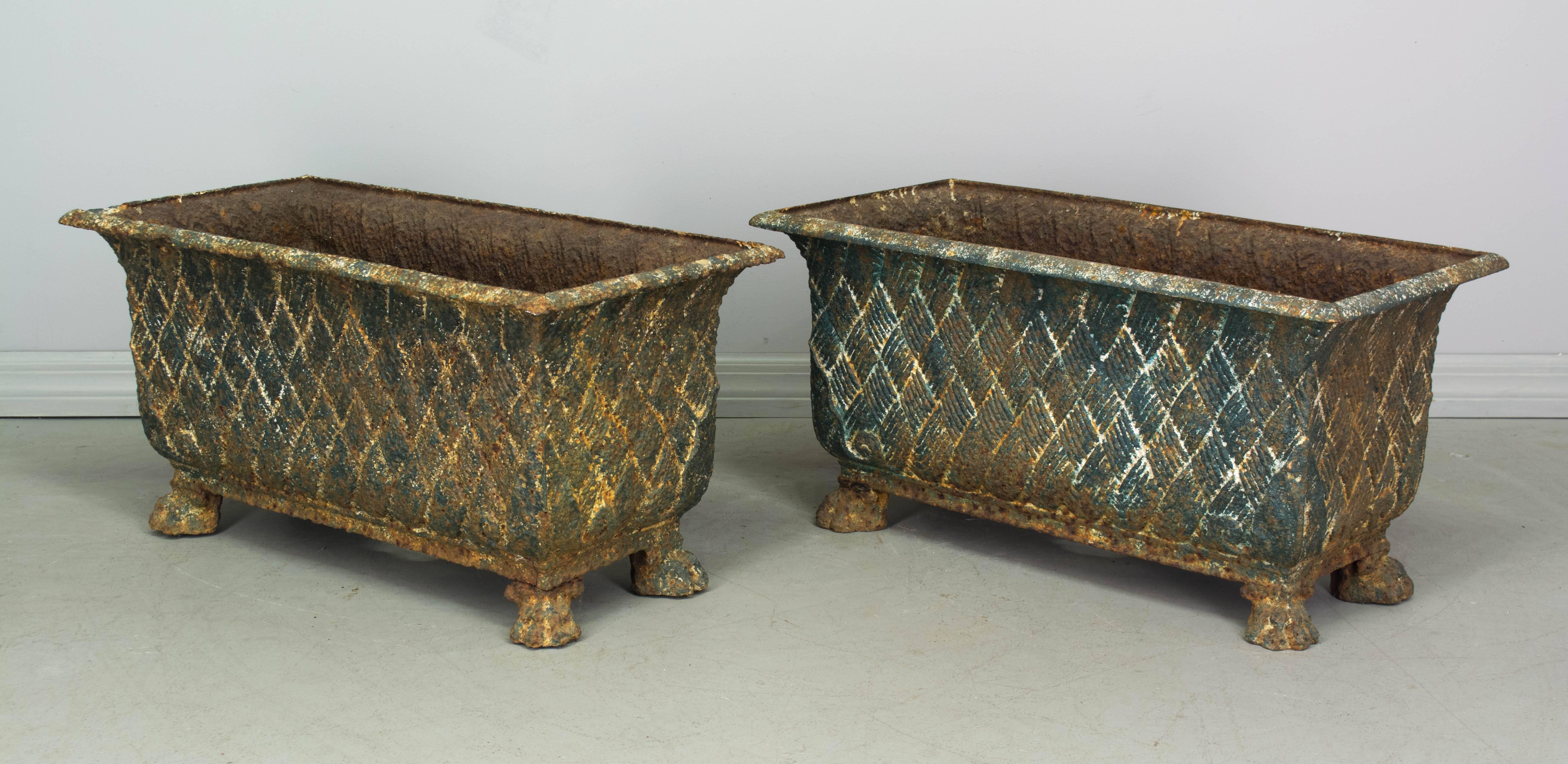 Pair of 19th Century French Cast Iron Planters 4