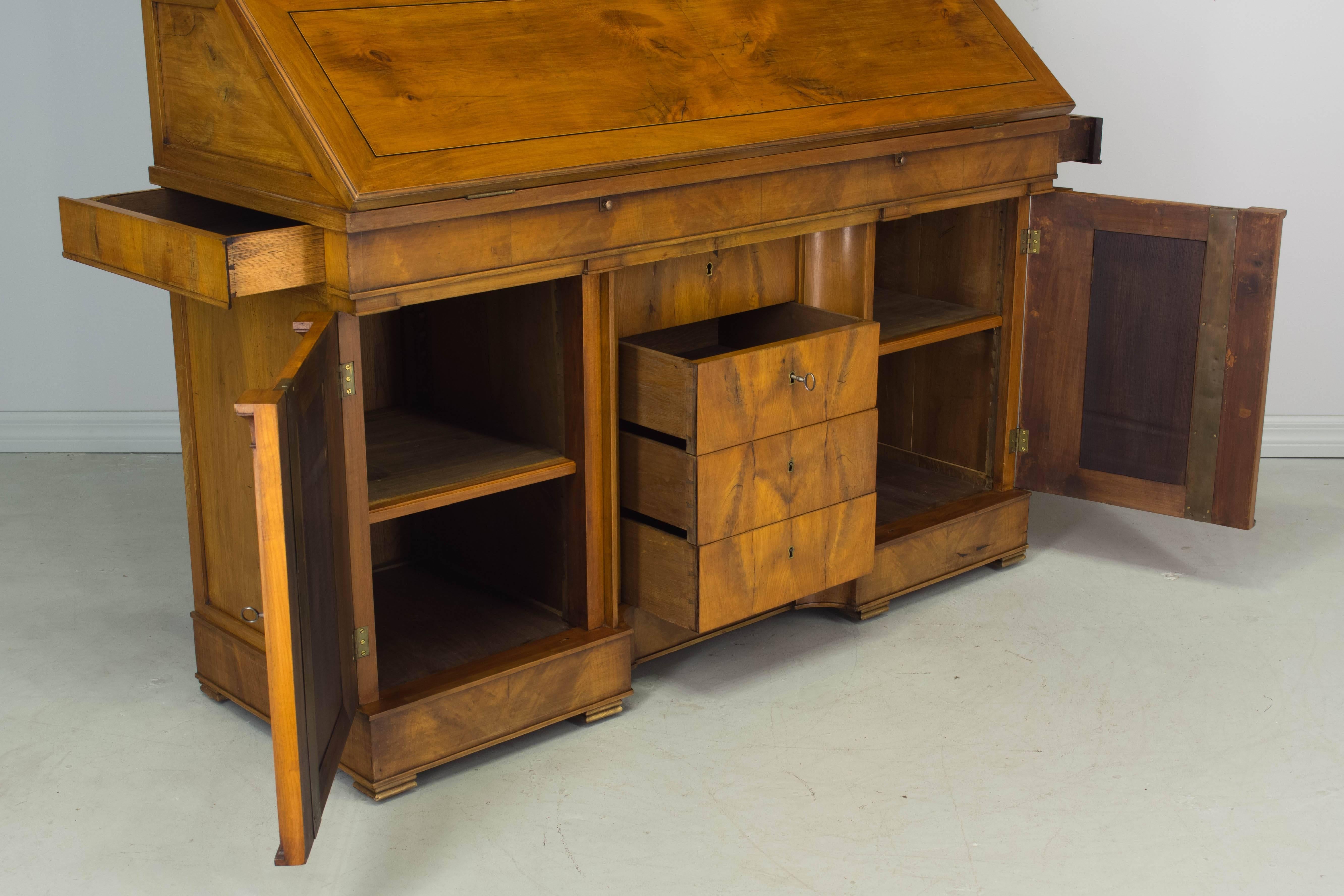 Early 20th Century French Scriban Bibliotheque 4