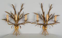 Pair of Italian Gilt Tole Sconces