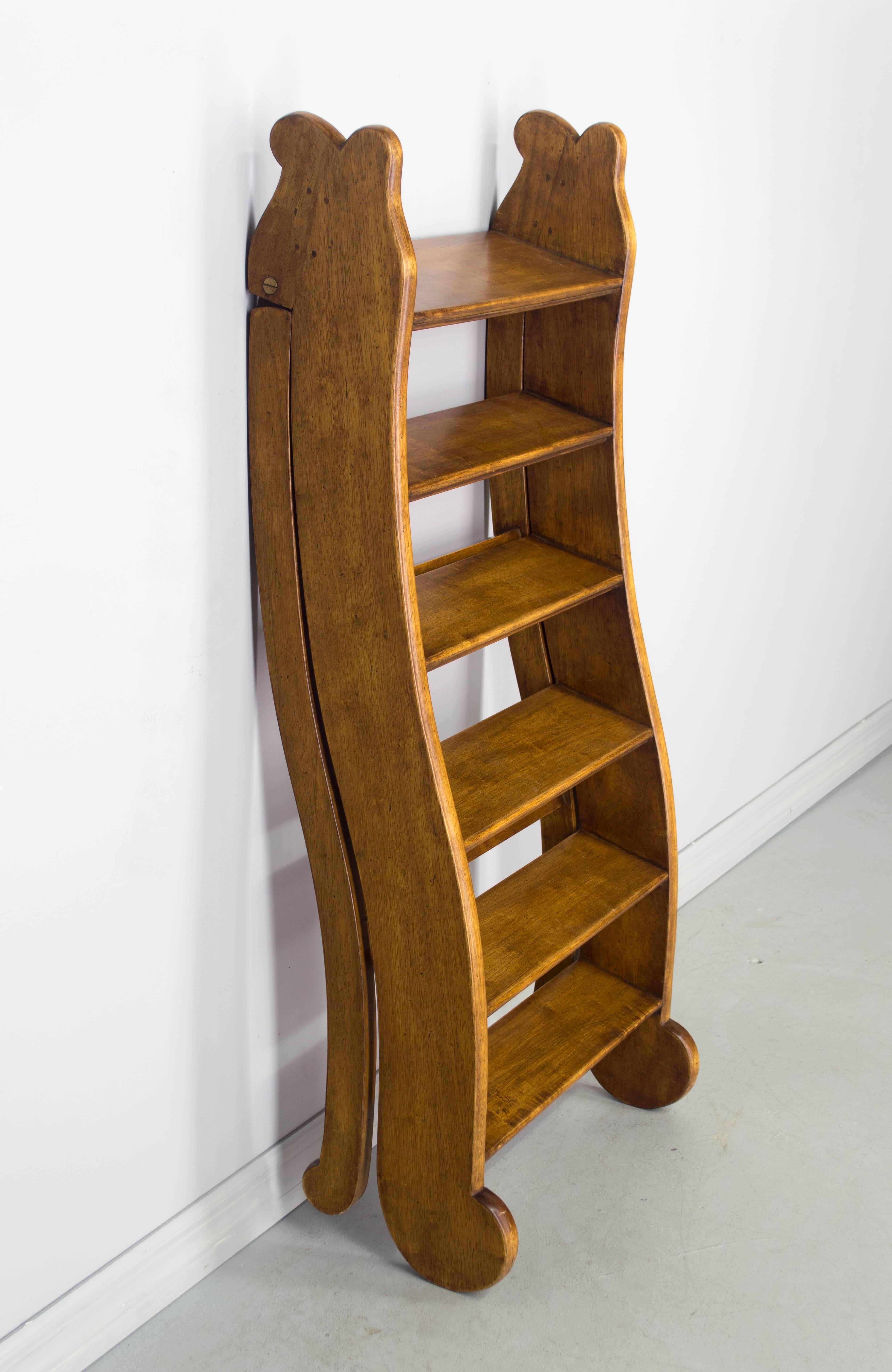 19th Century French Library Ladder 1