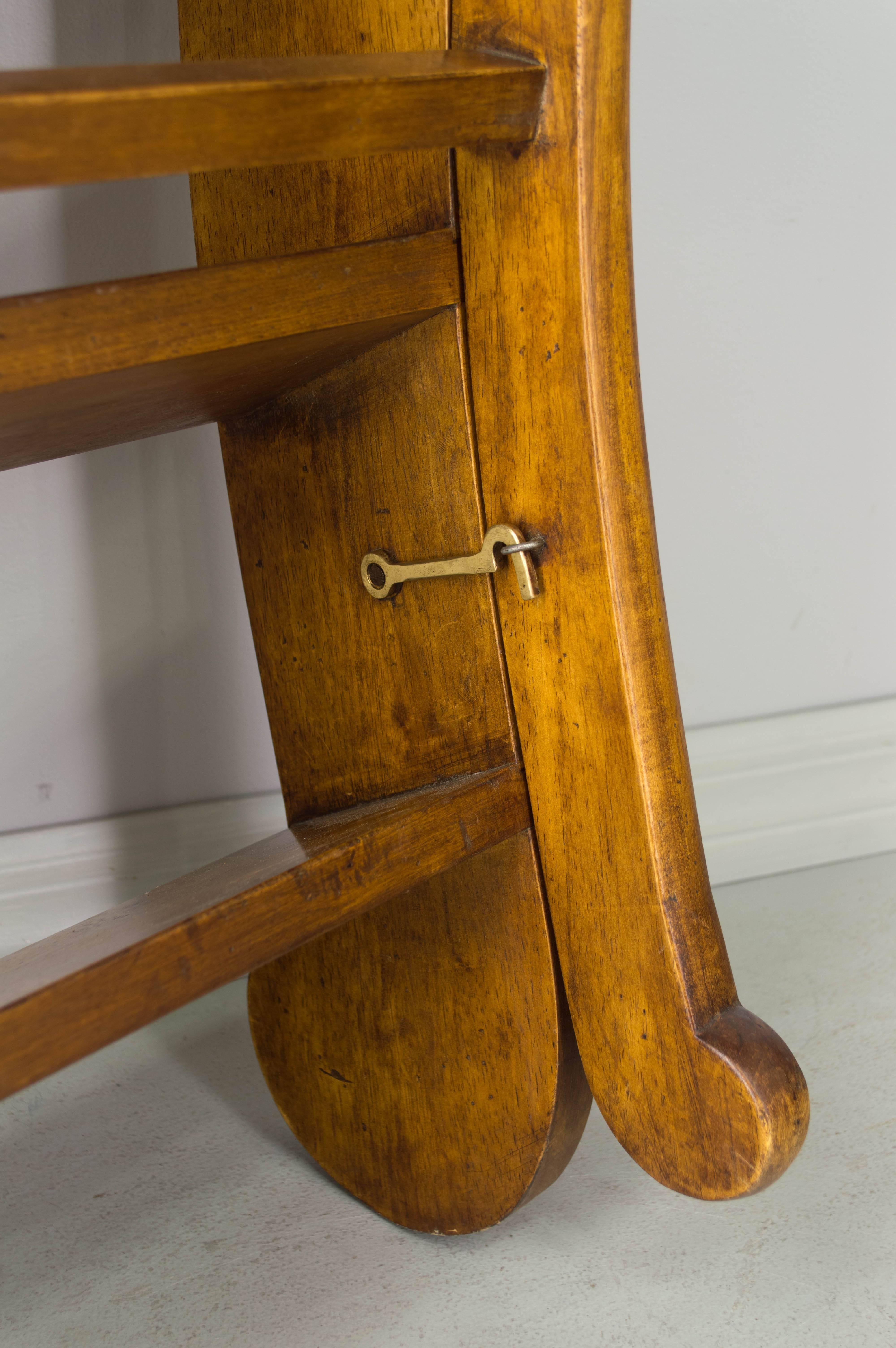 19th Century French Library Ladder 5