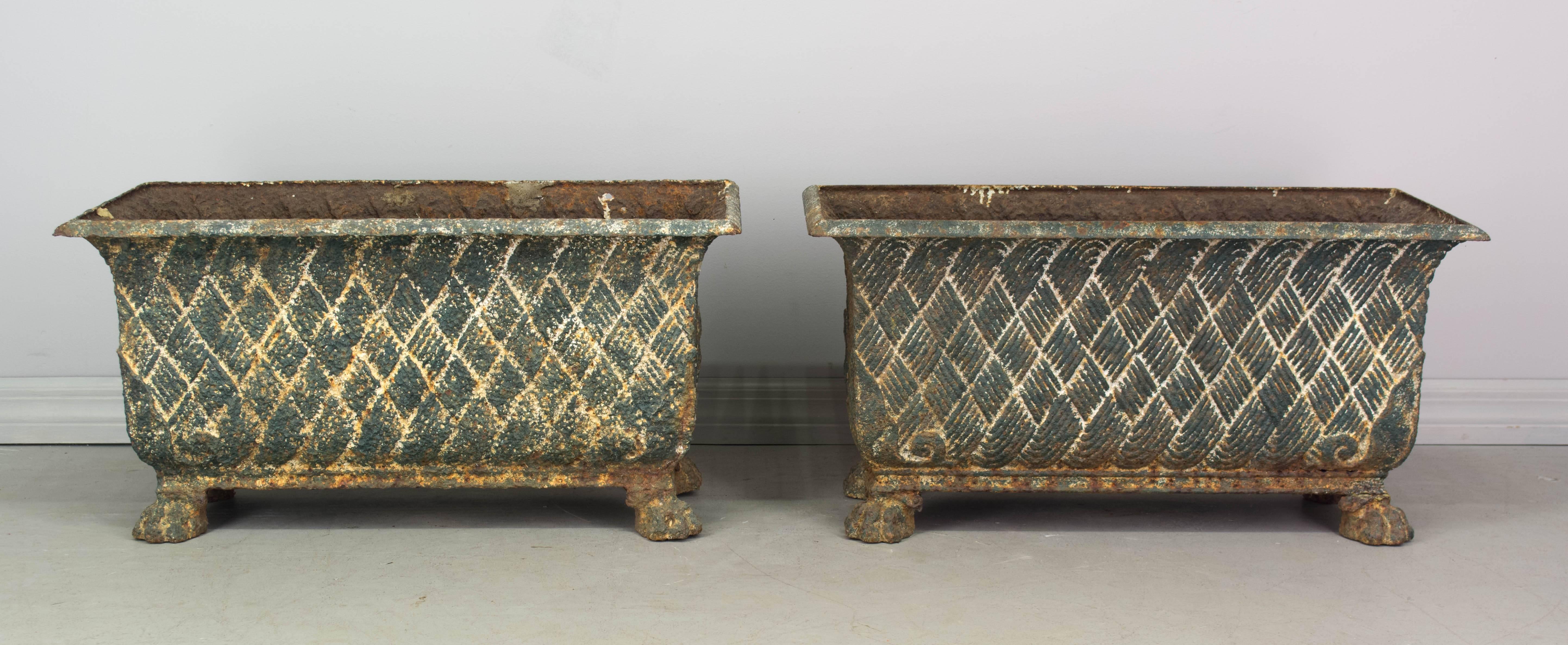 Pair of 19th Century French Cast Iron Planters 1