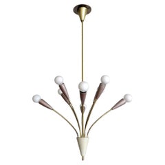 German Multi Arm Chandelier in Brass & Enameled Metal, 1950s