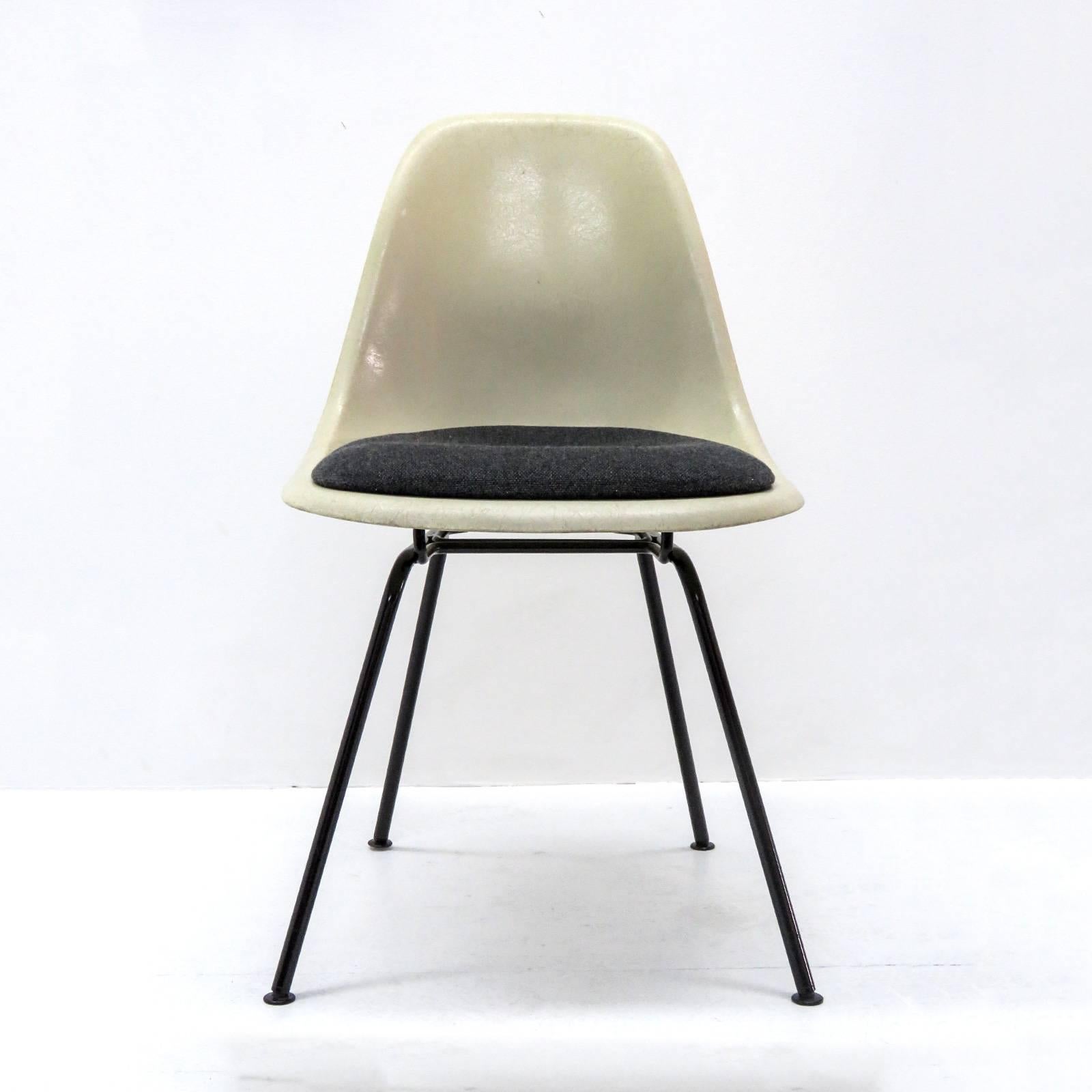 elegant iconic DSX chairs by Charles & Ray Eames for Herman Miller, with parchment colored fiberglass shells in very good to excellent condition, black enameled bases, original shocks and newly upholstered seat cushions in dark grey wool, shells