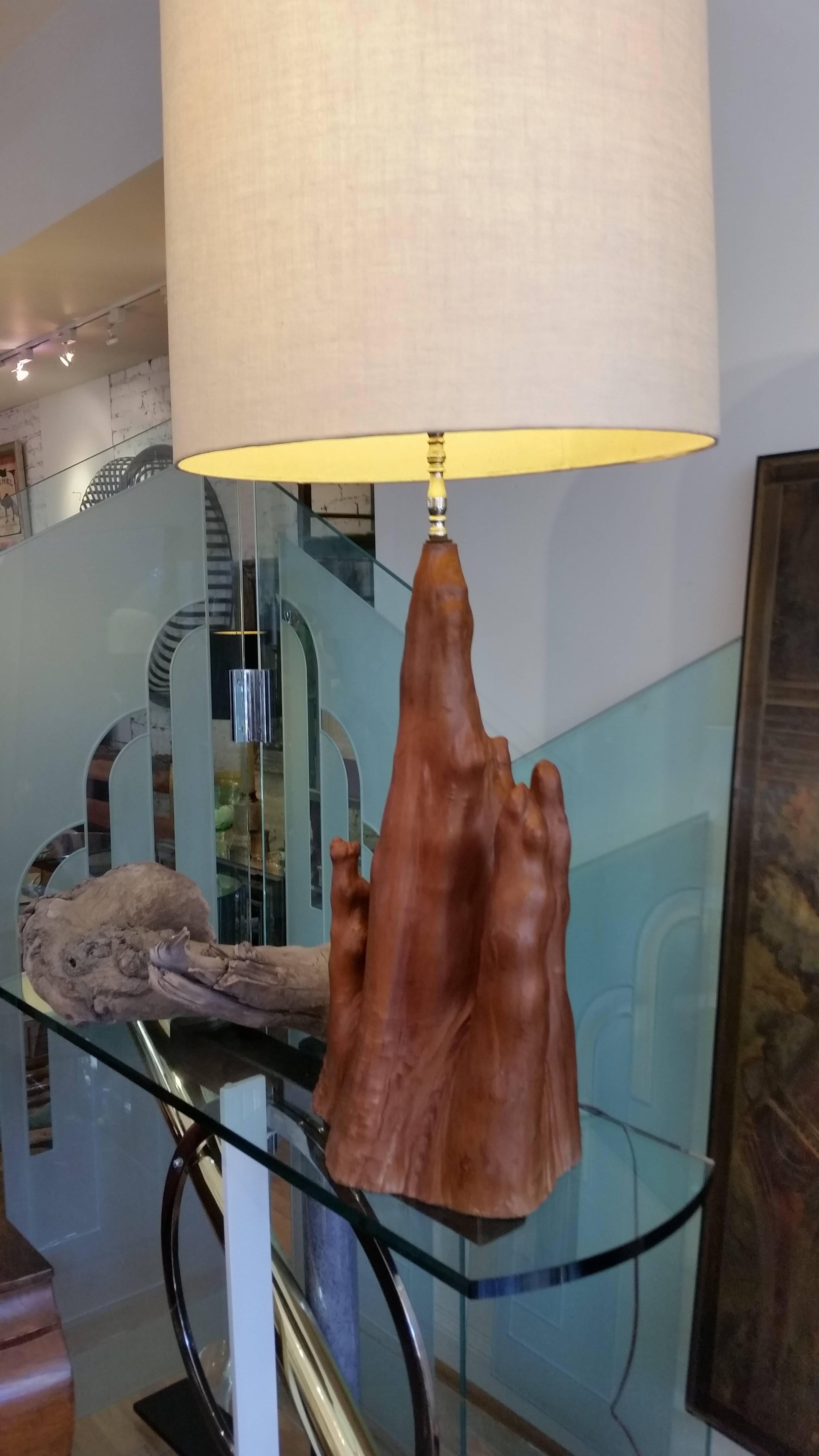 American  Cypress Root Lamp