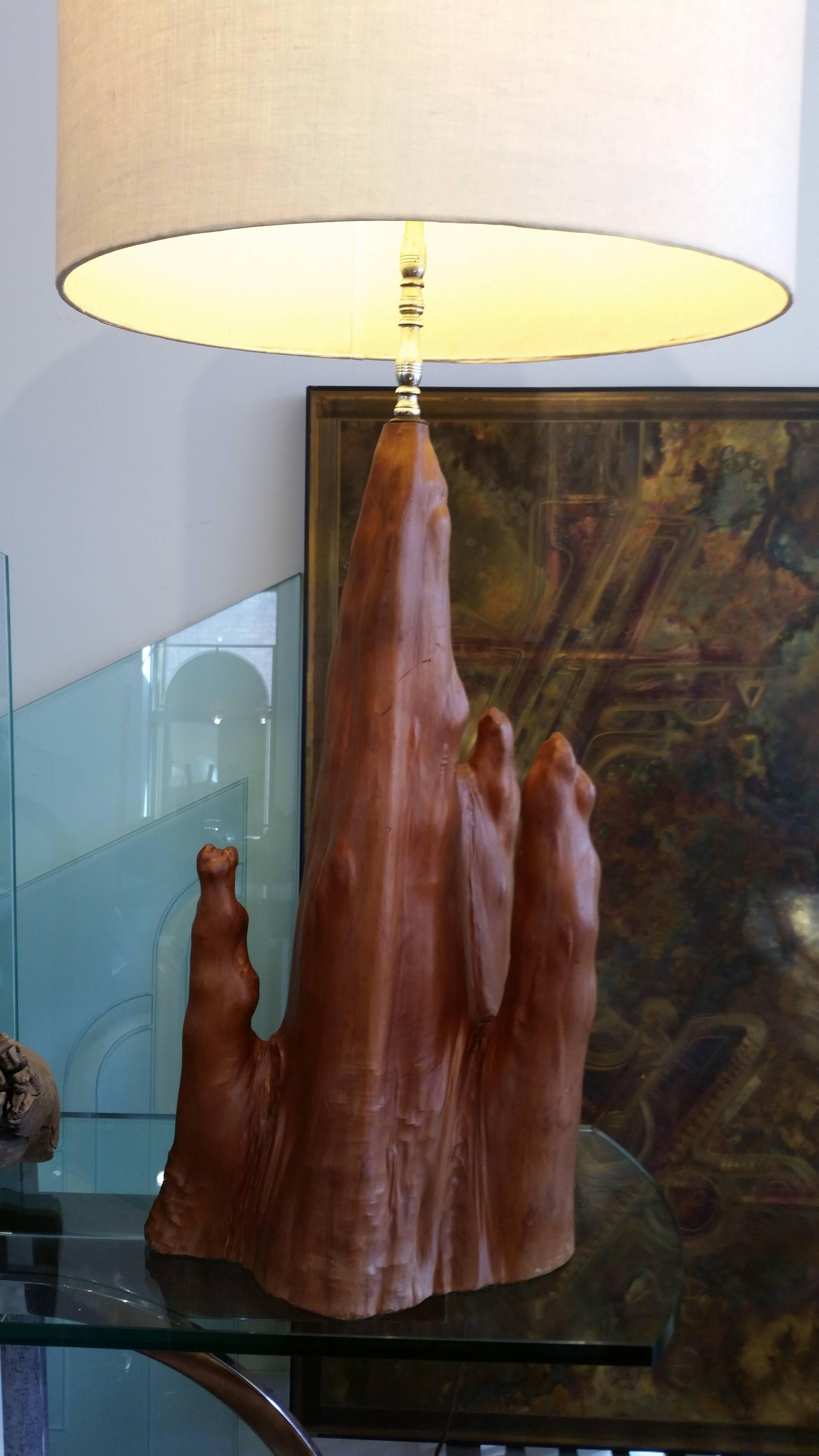 Late 20th Century  Cypress Root Lamp