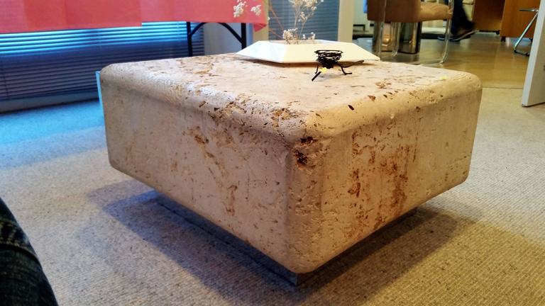 Natural Faux Coral Stone Fossilized Coffee Table at 1stDibs