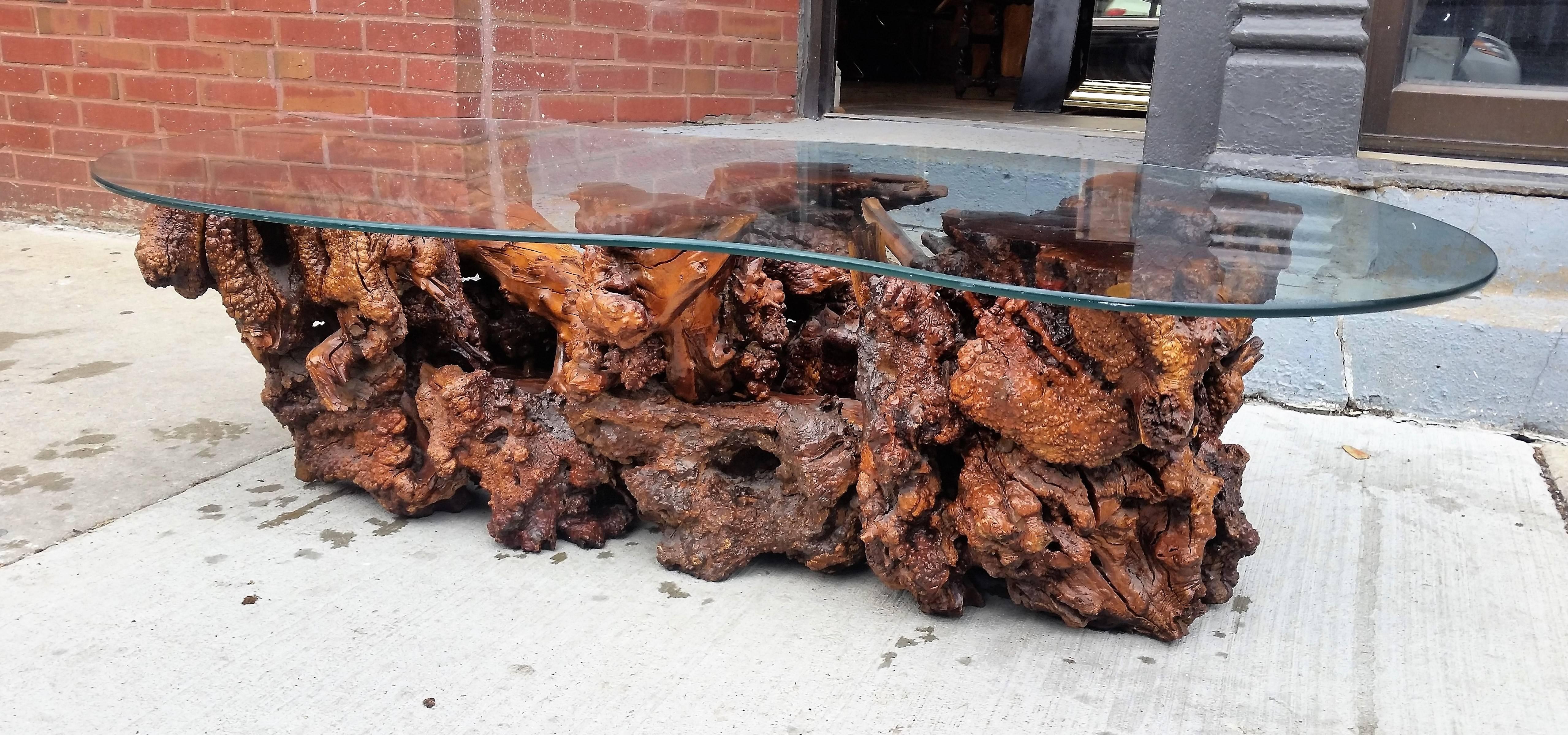 A highly sculptural organic natural burled coffee table.
The table constructed of multiple burls joined together.
Its glass top is kidney shaped.