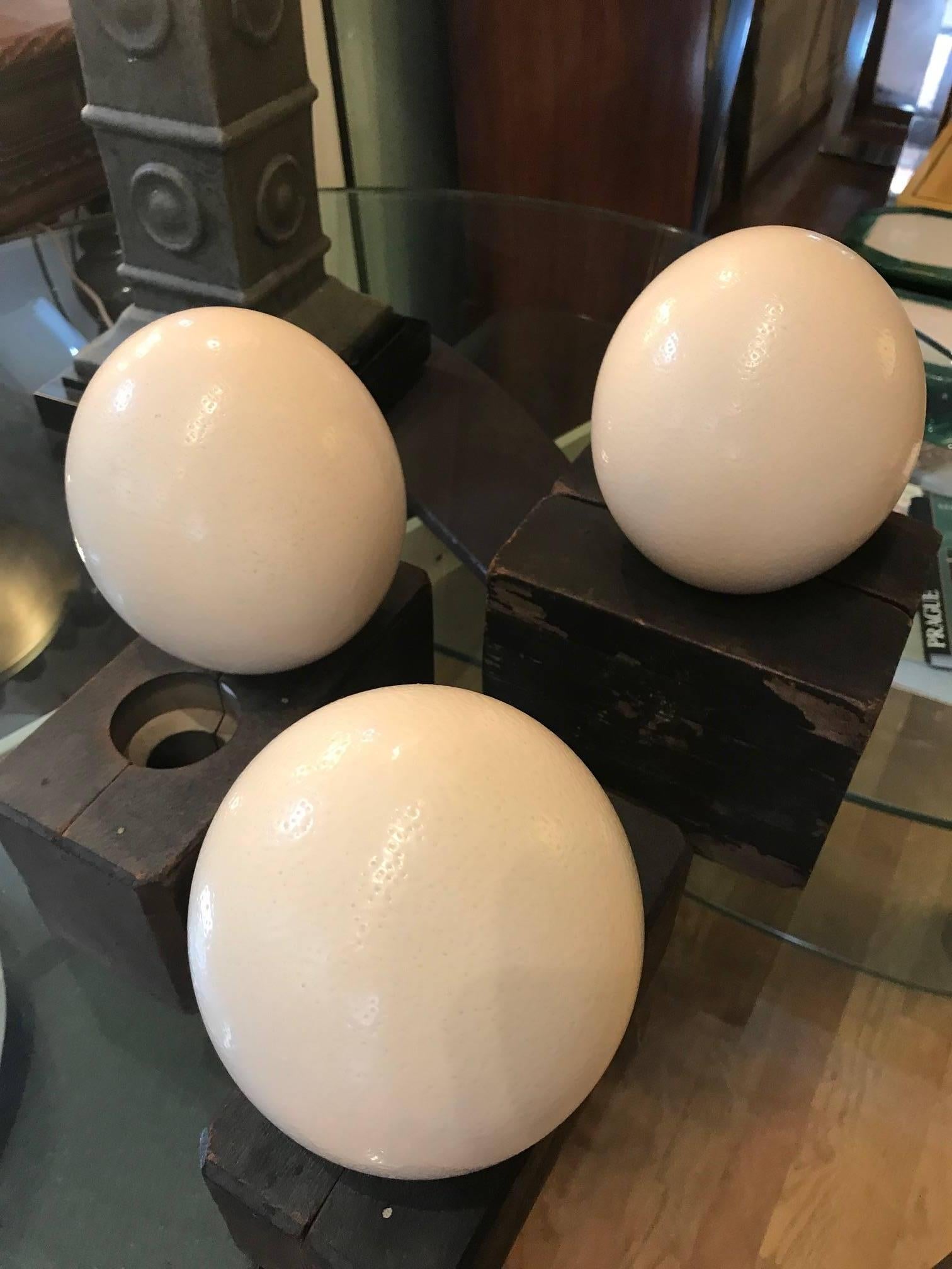 Primitive Three Ostrich Eggs on Decorative Wood Blocks