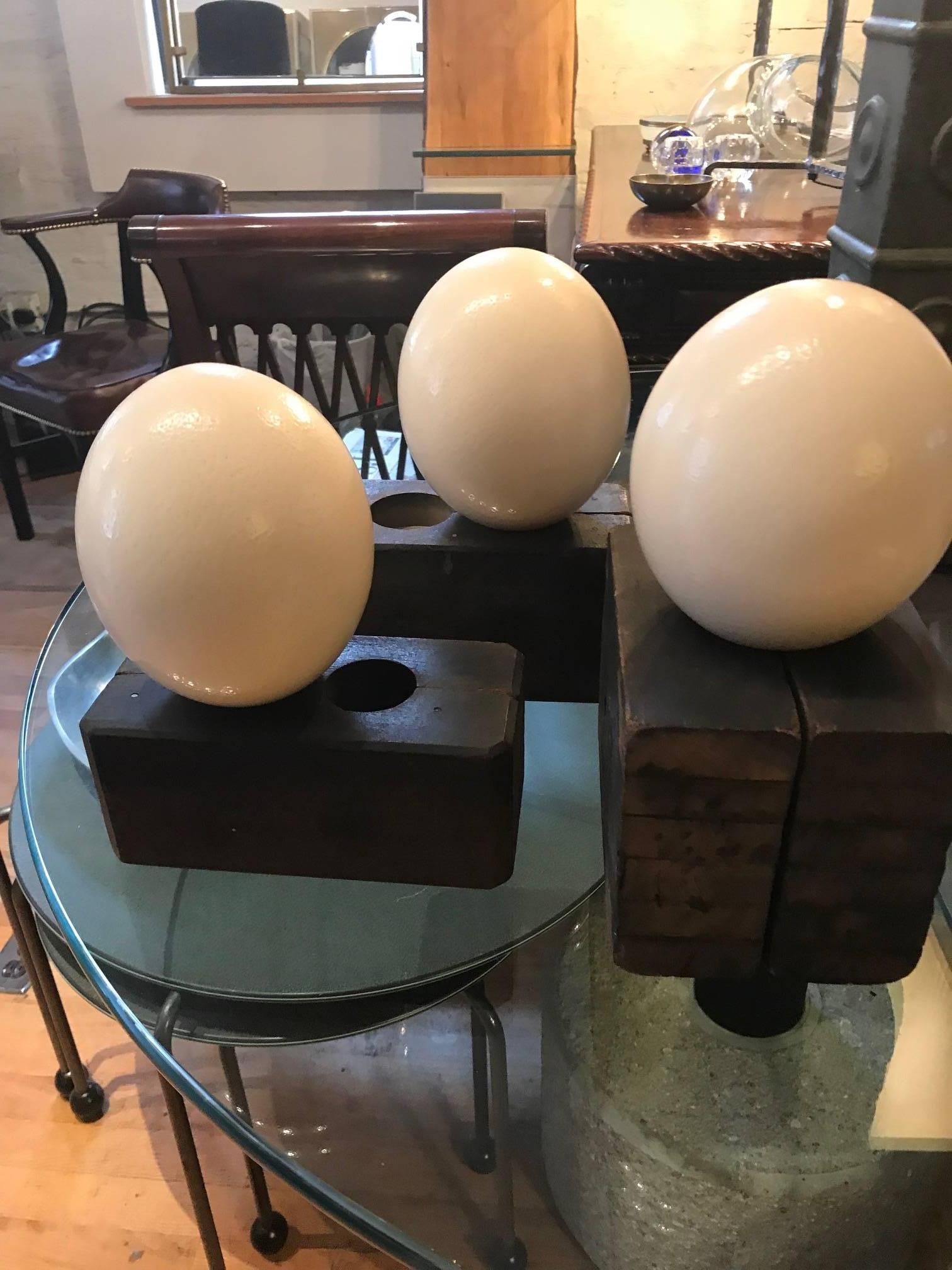Three Ostrich Eggs on Decorative Wood Blocks In Good Condition In Chicago, IL