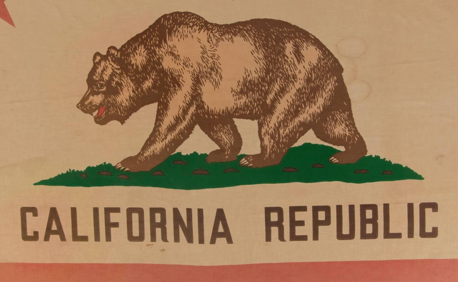 Vintage California state flag, circa 1950s-1960s:

Early state flags fall between very scarce and extraordinarily rare in the antiques marketplace. One primary reason for this is that most states, even if they existed during the 18th or 19th