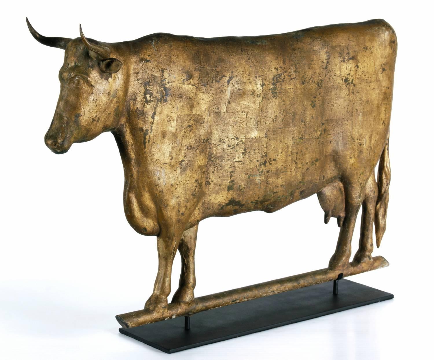 gilded cow