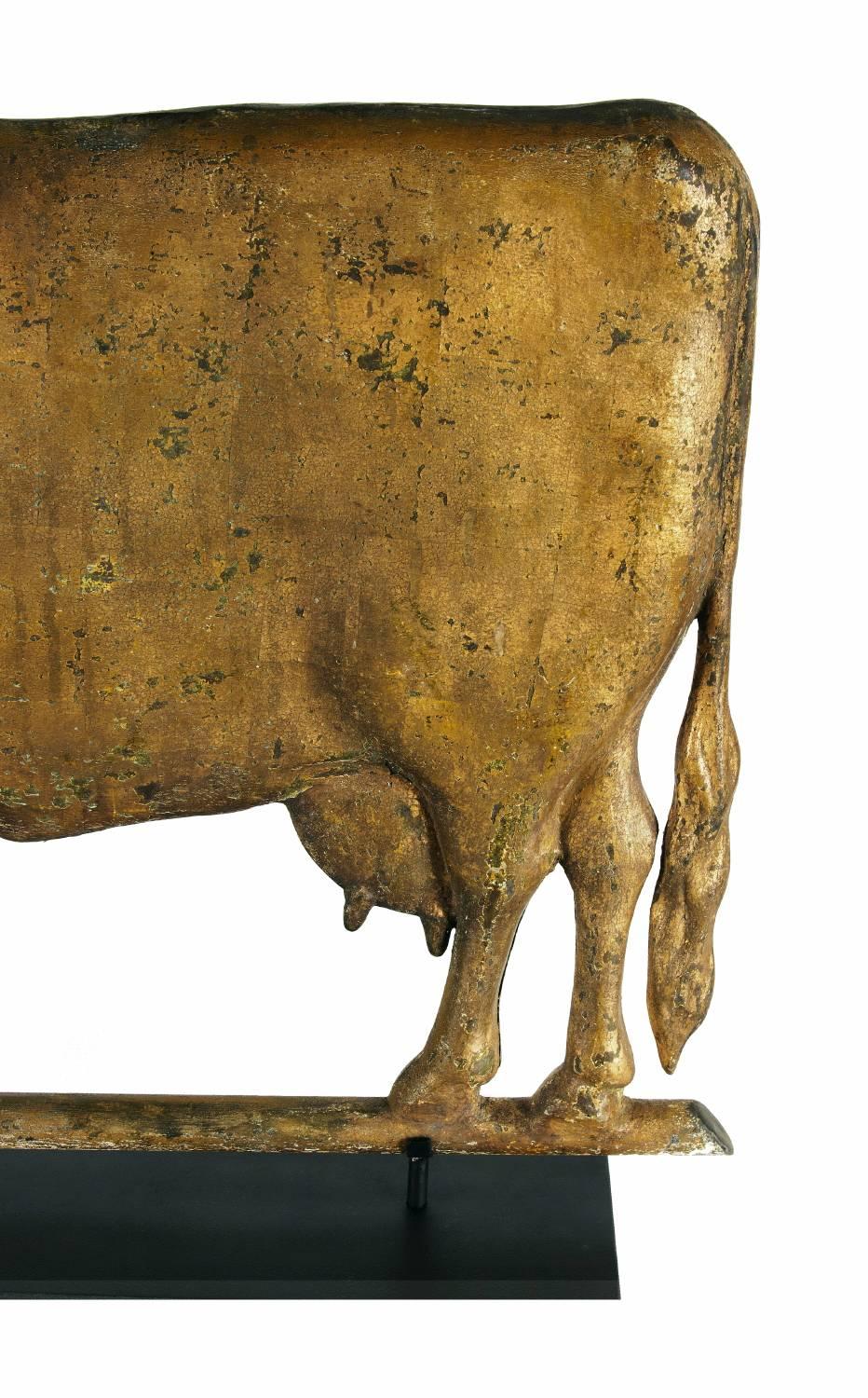 American Cow Weathervane, Excellent Scale, Great Boxy Form, with Gilded Surface