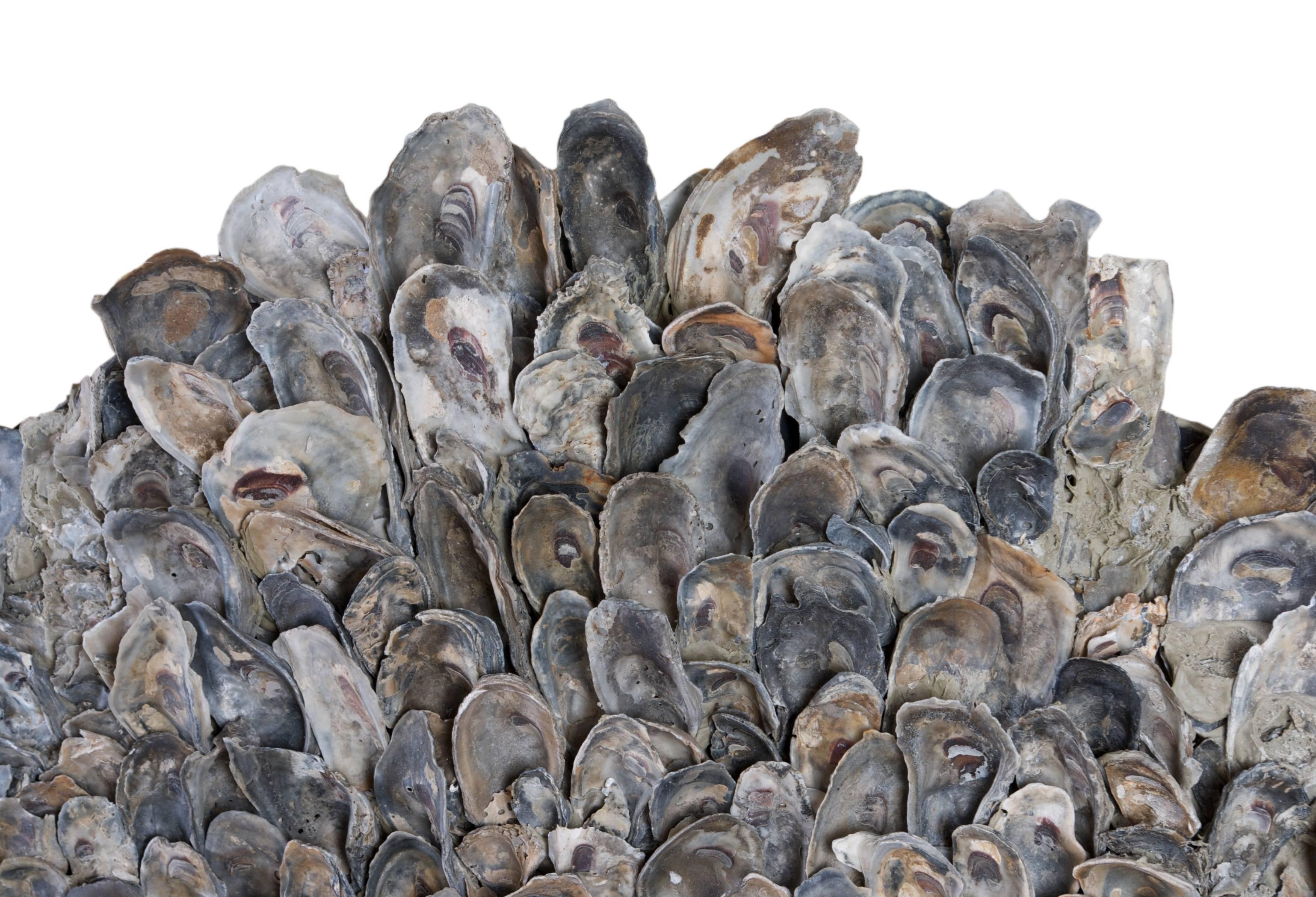 Large mirror with clam shell details in varying sizes. 