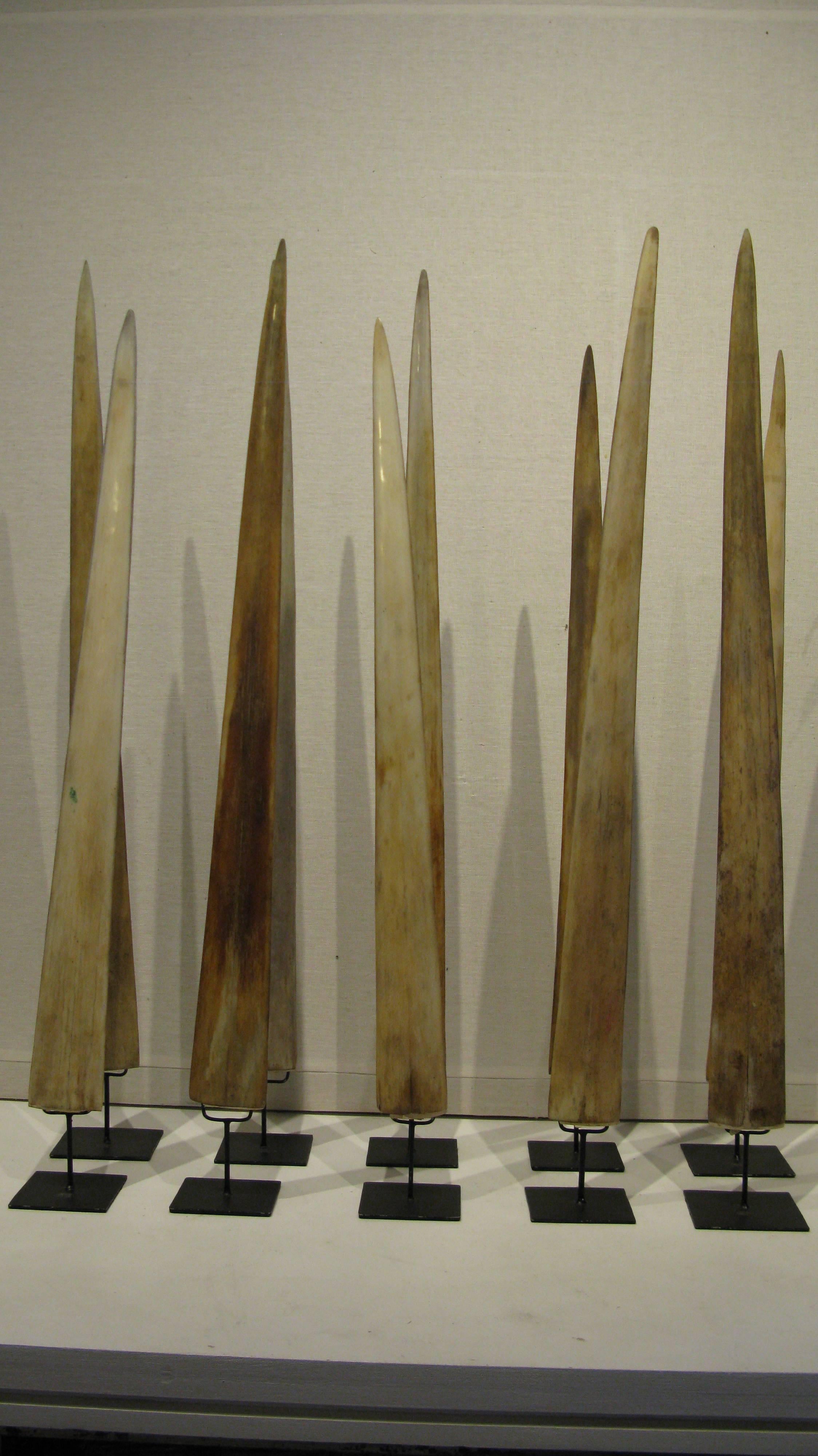 A collection of ten Swordfish Rostrums. Mounted on metal stands.

Various sizes.

Measures: 4.5