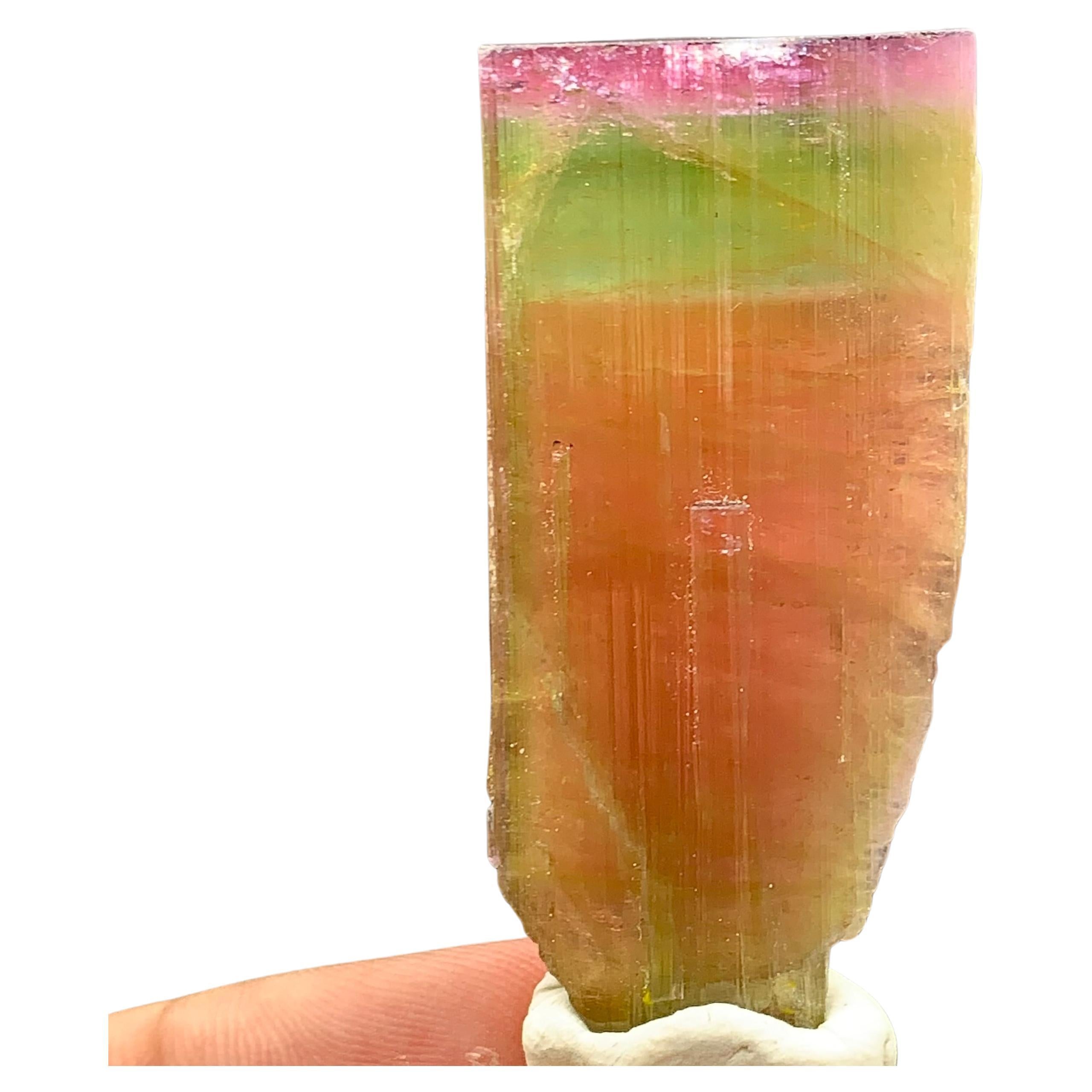 Stunning Tri-Color Tourmaline Crystal From Paprok Mine Afghanistan
WEIGHT: 130.60 Carat
DIMENSIONS : 5.1 x 2.4 x 1.7 Cm
ORIGIN: Nooristan, Afghanistan
TREATMENT: None
Tourmaline is an extremely popular gemstone; the name Tourmaline is derived