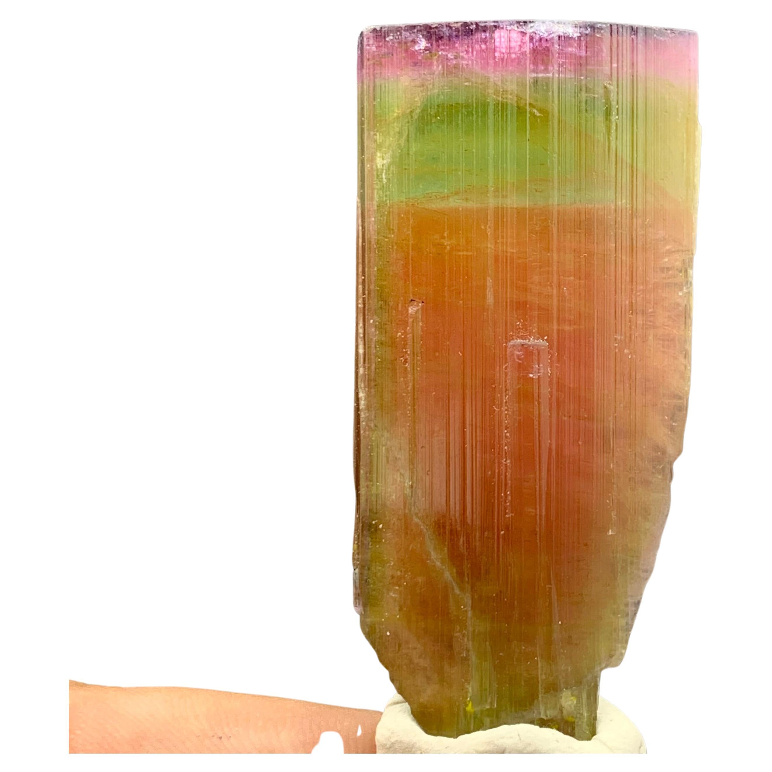 130.60 Carat Stunning Tri Color Tourmaline Crystal from Paprok Mine Afghanistan For Sale