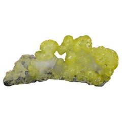 268 Grams Lemon Yellow Botryoidal Brucite Crystals On Chromite Matrix