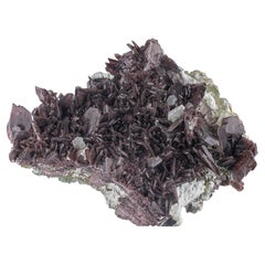 Spécimen naturel d'axinite avec épidote, agglomérat de taille de vitrine provenant du Pakistan