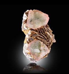Natural Specimen Of Bicolor Fluorite Crystals On Muscovite From Pakistan