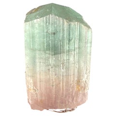 Ejemplar natural de cristal grueso de turmalina bicolor, 23 g, procedente de Afganistán