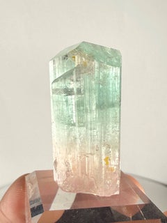 Ejemplar natural de cristal grueso de turmalina bicolor, 23 g, procedente de Afganistán