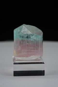 Natural Specimen Of Bicolor Tourmaline 41g Crystal From Afghanistan