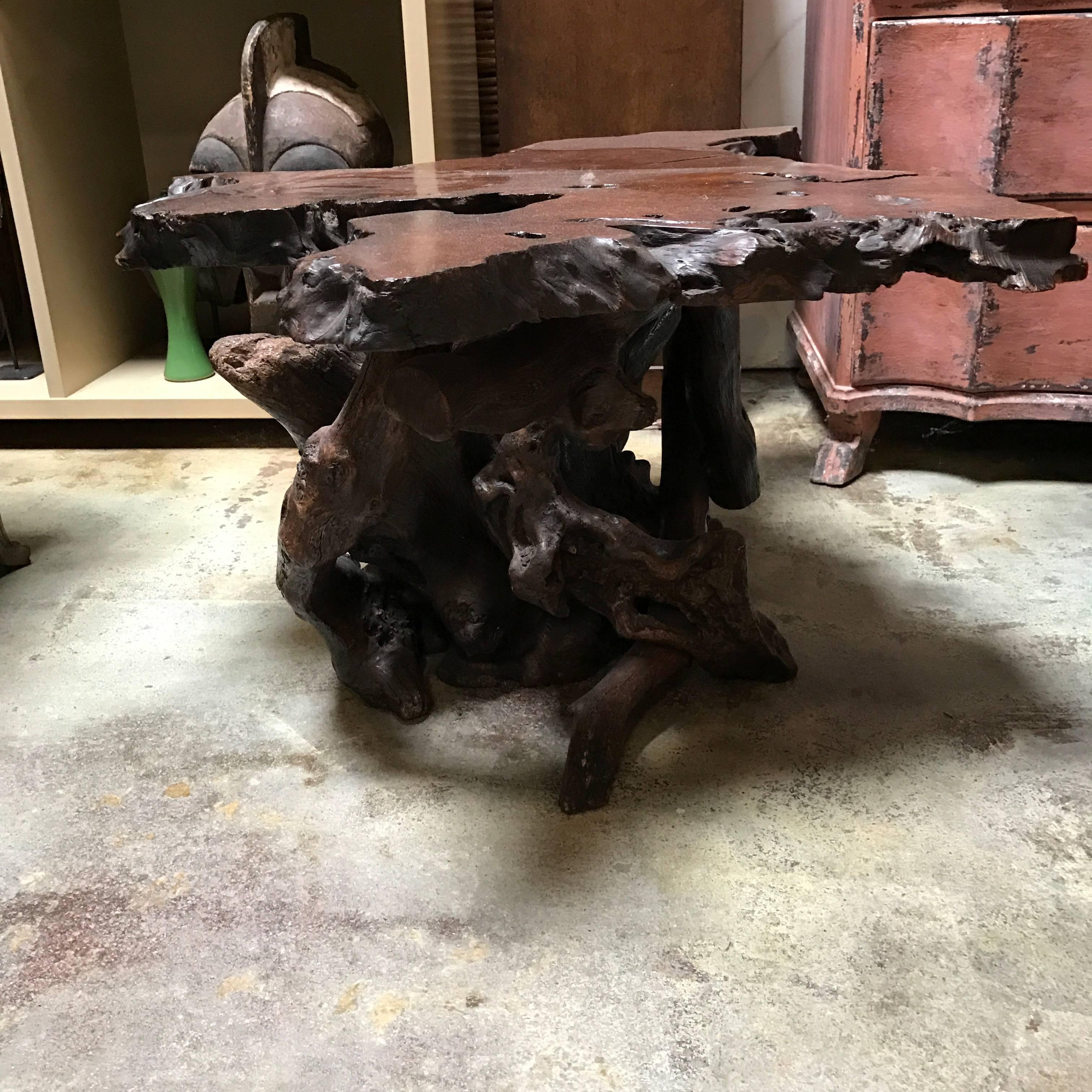 Late 1950s Root table. Whether you have a modern or Classic decor, this “live edge” table will easily mesh with any design style.