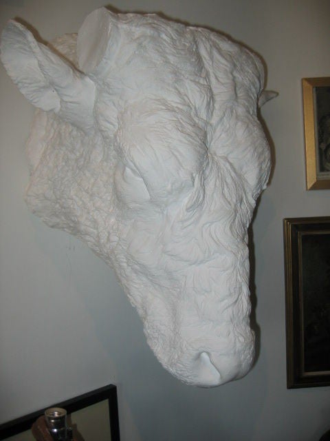French 19th Century Beaux Arts Plaster Bull Head