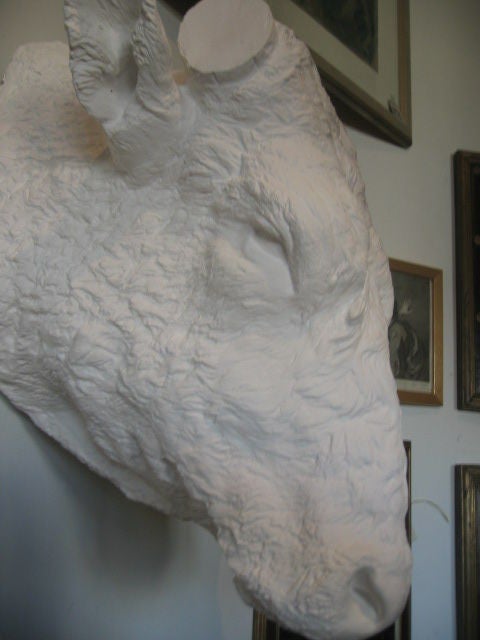 19th Century Beaux Arts Plaster Bull Head In Good Condition In Dallas, TX