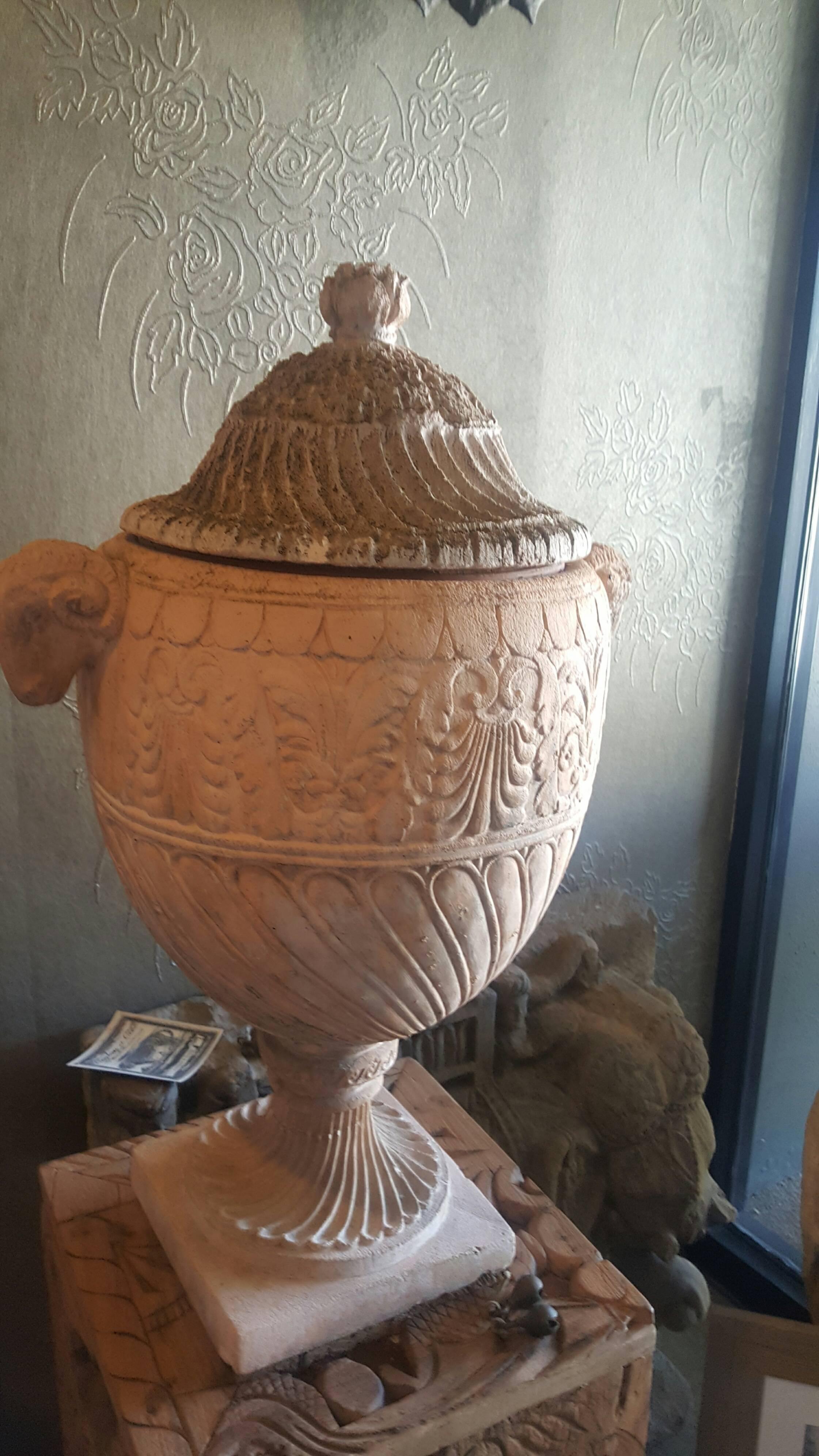 Antique French terra cotta urn with ram's head detail.