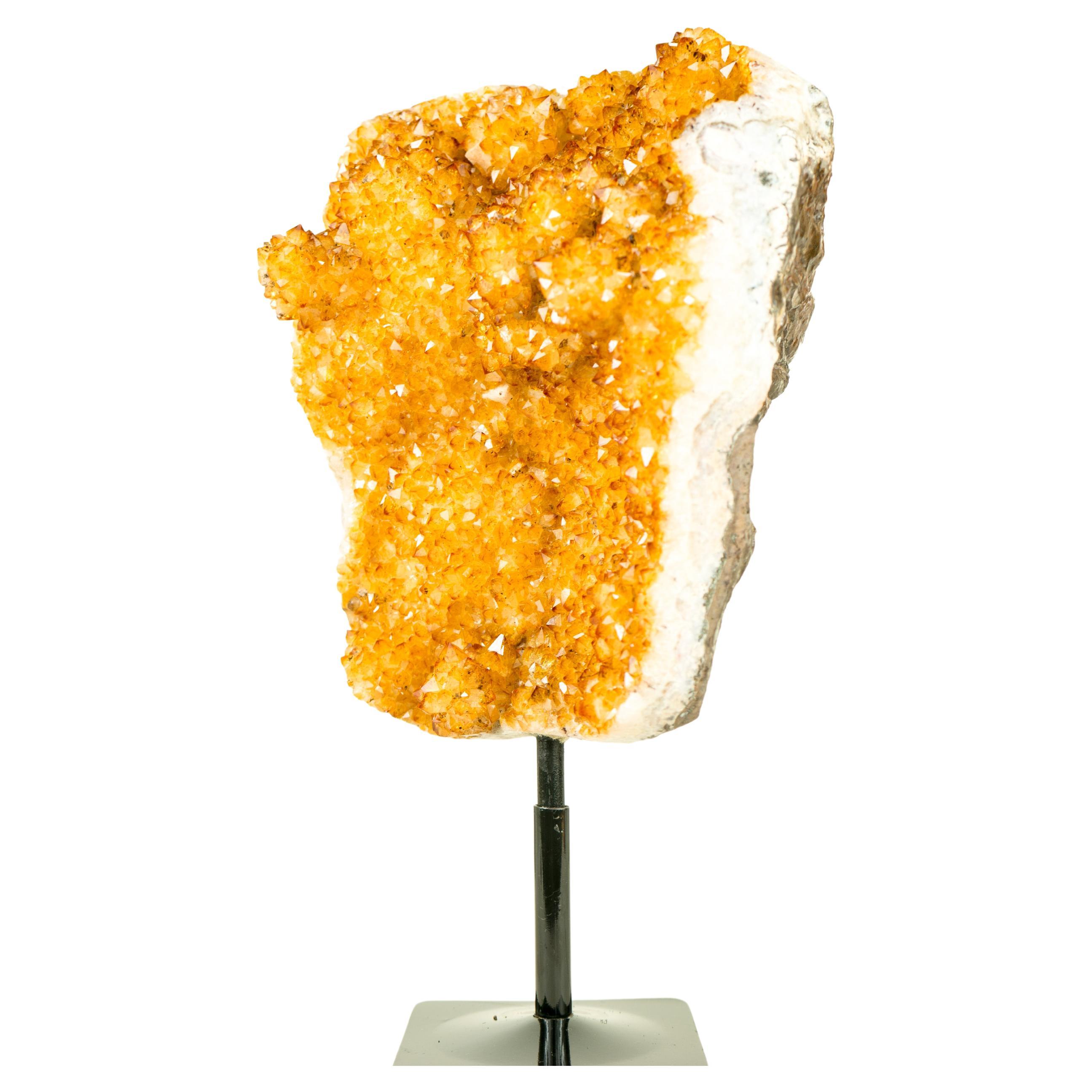 Golden Yellow Galaxy Citrine Cluster with Flower Rosettes - 5.7 Kg - 12.5 lb

▫️ Description ▫️

With its gorgeous characteristics, this Citrine Cluster features the highly sought-after Galaxy Citrine Druzy and a wonderful formation of Citrine
