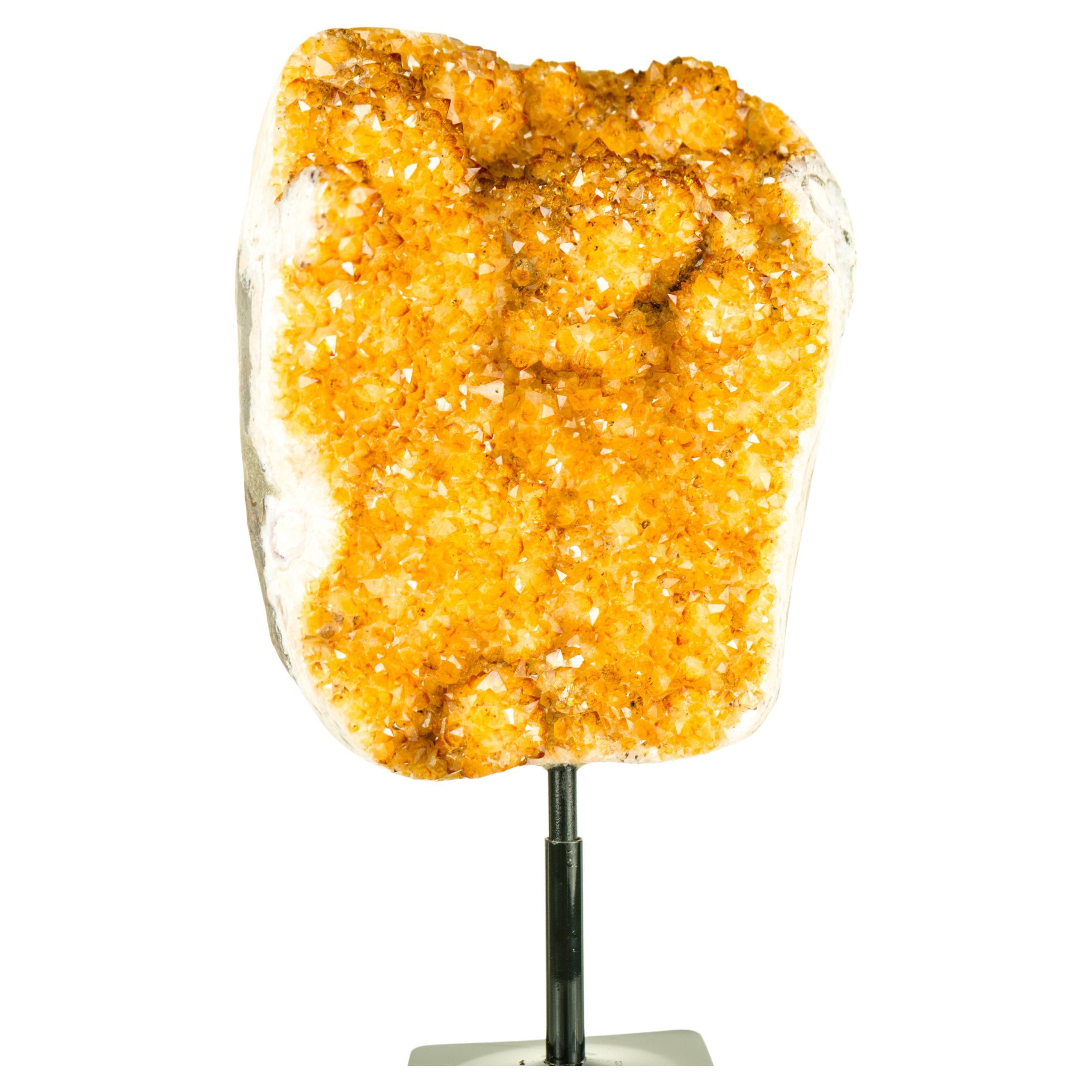 Golden Yellow Galaxy Citrine Cluster with Flower Rosettes (Stalactite) 