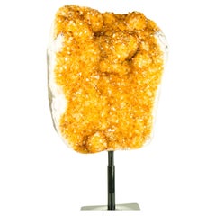 Golden Yellow Galaxy Citrine Cluster with Flower Rosettes (Stalactite) 