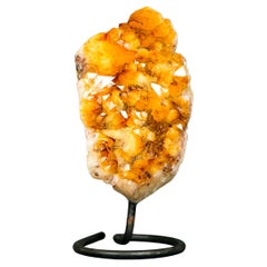 Small High-Grade Natural Citrine Cluster with Vibrant Golden-Orange Druzy