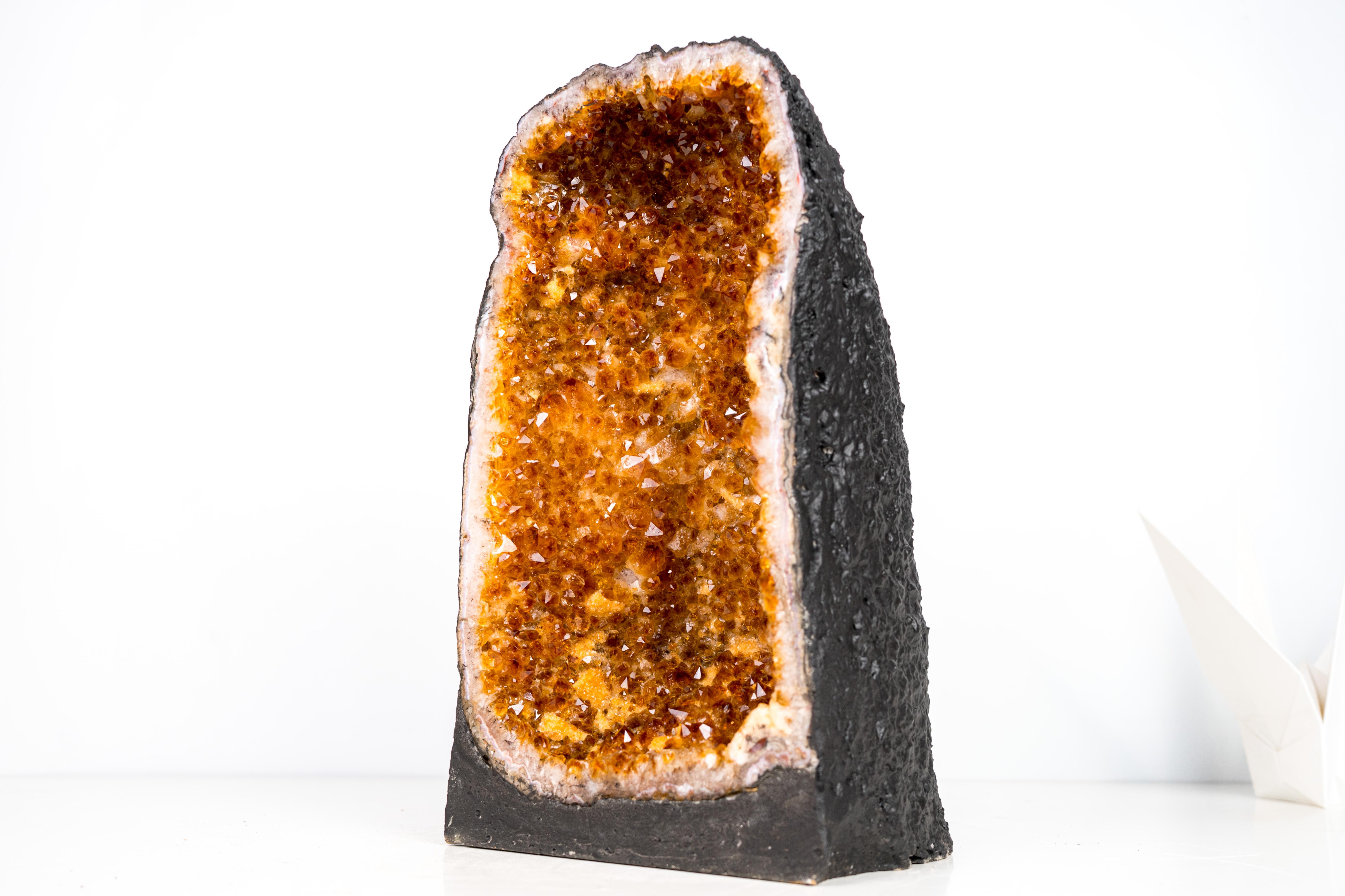 Perfectly Formed Citrine Crystal Geode Cathedral

▫️ Description ▫️ 

Every year, thousands of citrine geodes are found, but geodes with perfect formation and beautiful color like this one are truly rare. It’s the ideal medium-sized geode for a