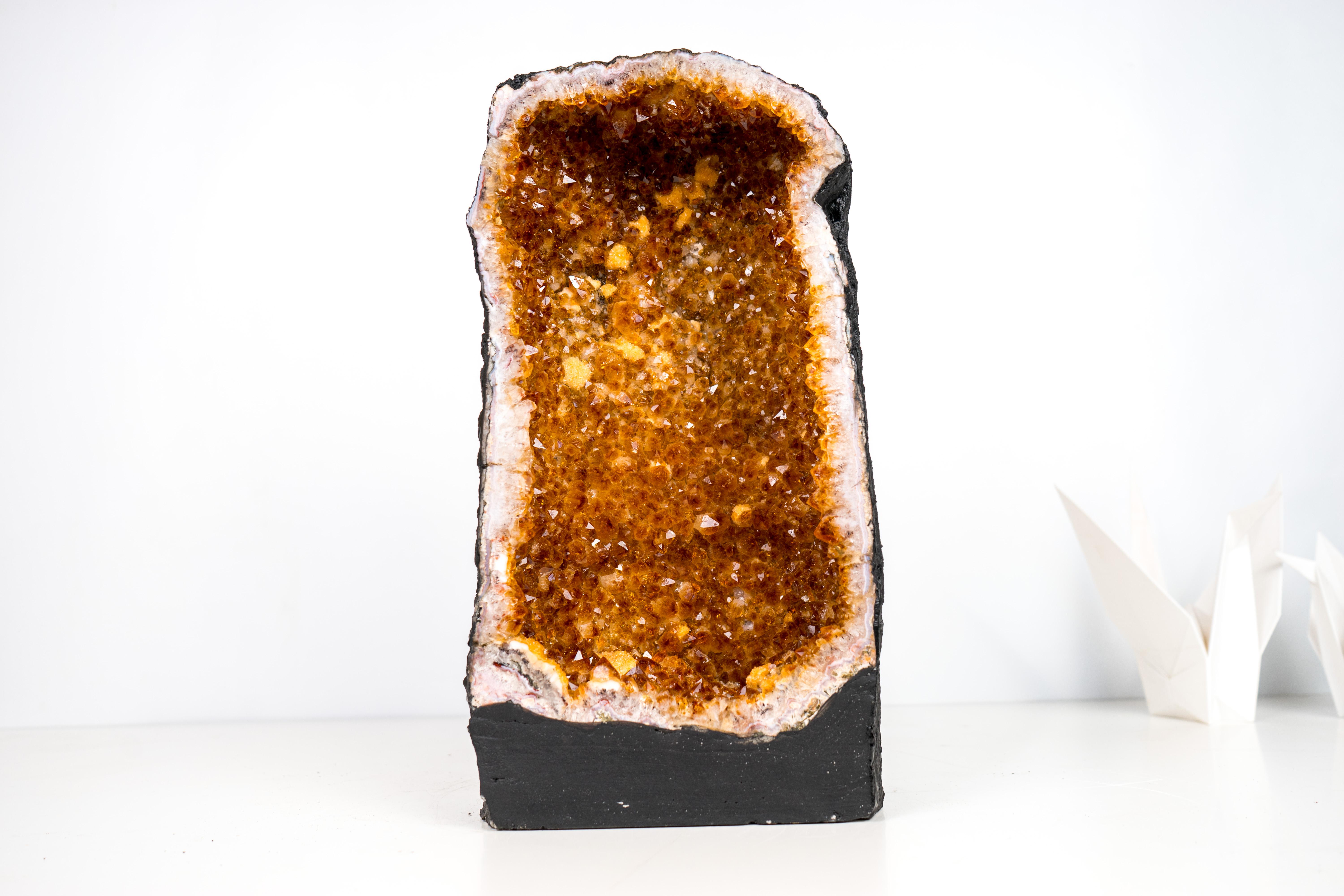 Geode di cristallo citrino dalla forma perfetta, cattedrale

▫️ Descrizione ▫️ 

Ogni anno si trovano migliaia di geodi di citrino, ma quelli con una formazione perfetta e un colore meraviglioso come questo sono davvero rari. È il geode di medie