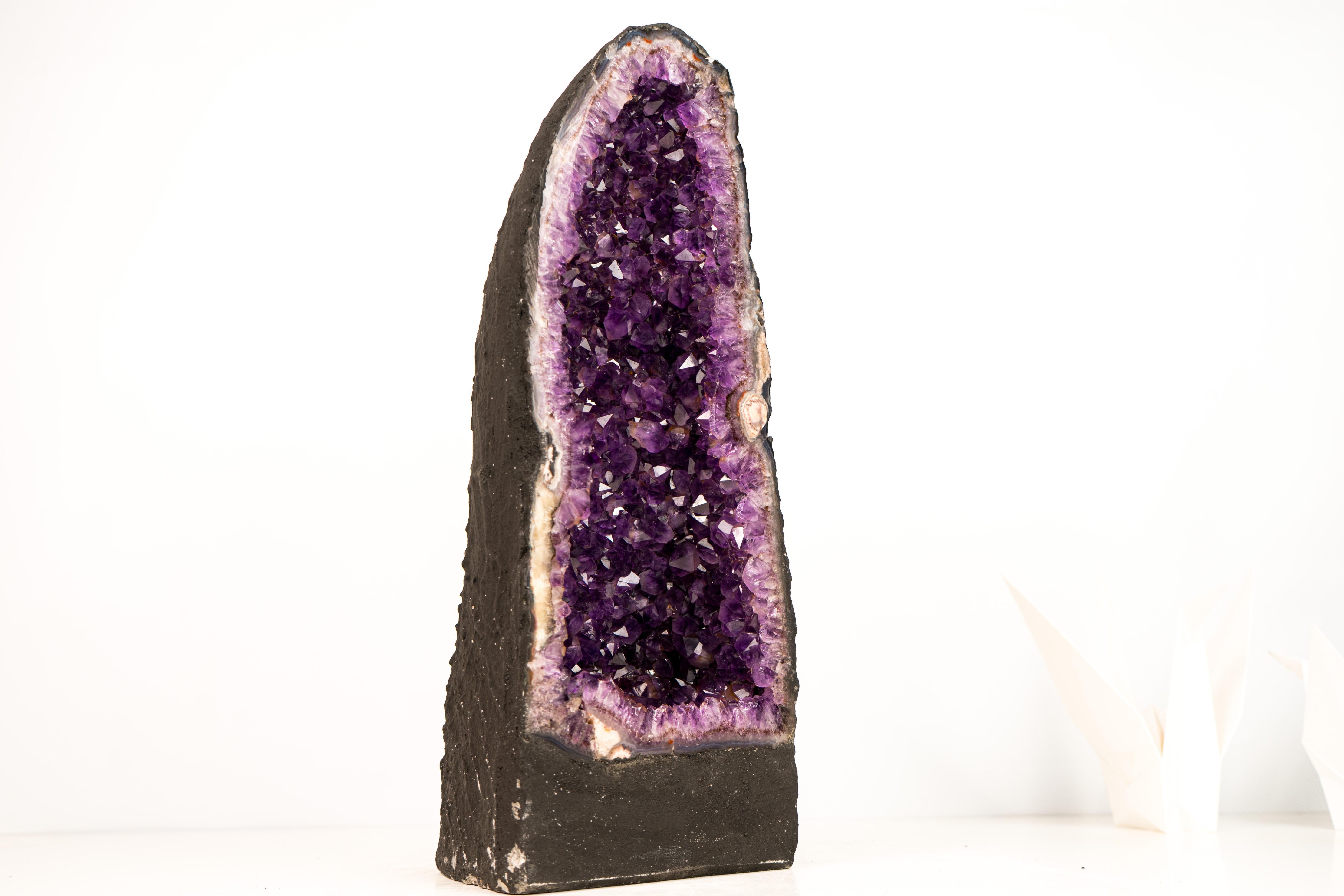 Gorgeous Amethyst Cathedral Geode with Large, Deep Violet-Purple Crystals

▫️ Description

Superb in beauty, aesthetics, color, and rarity, this amethyst geode displays many special characteristics. With its elegant formation and large, gemmy