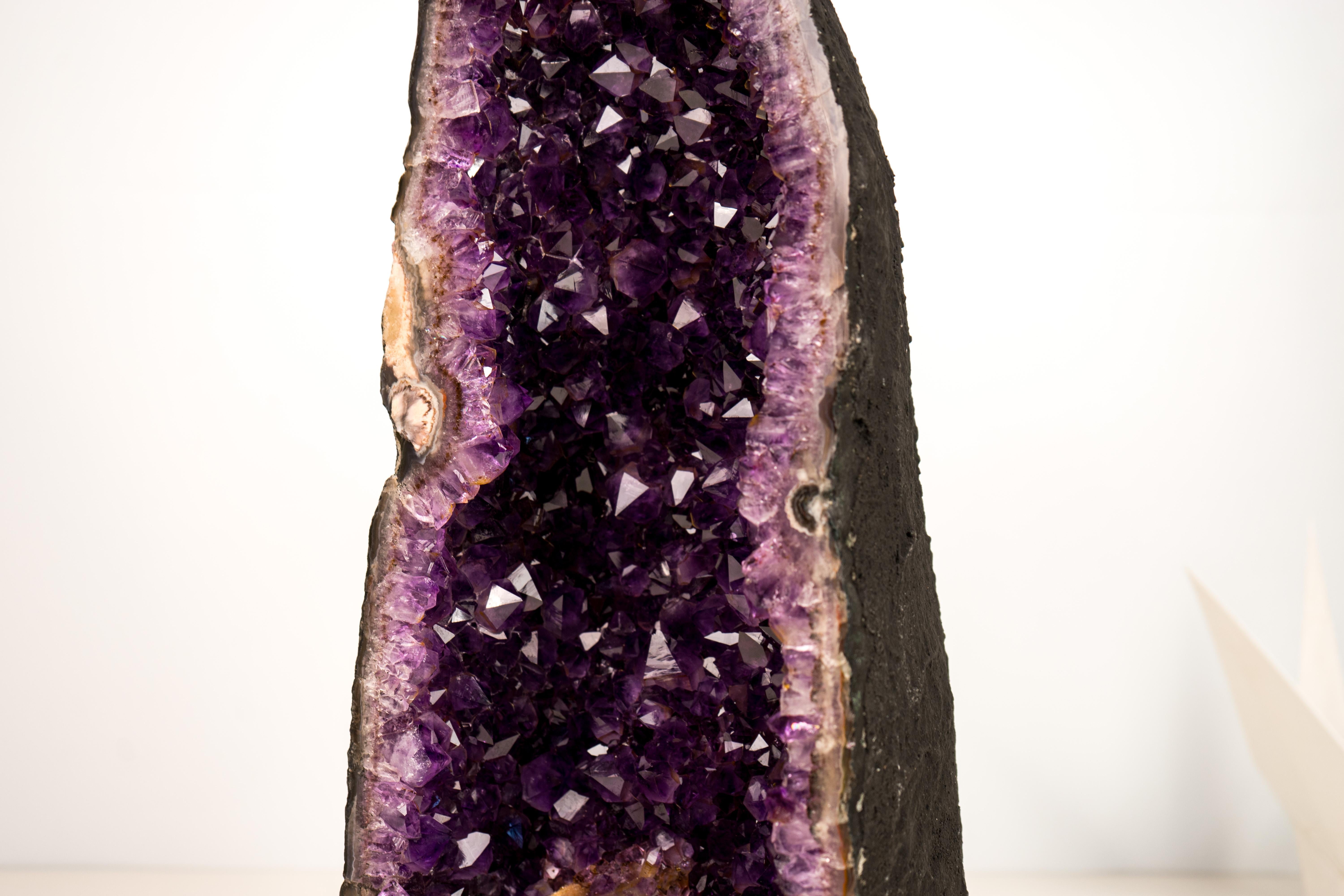 Gorgeous Amethyst Geode Cathedral For Sale 5