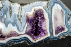 Collector Blue Lace Agate Geode